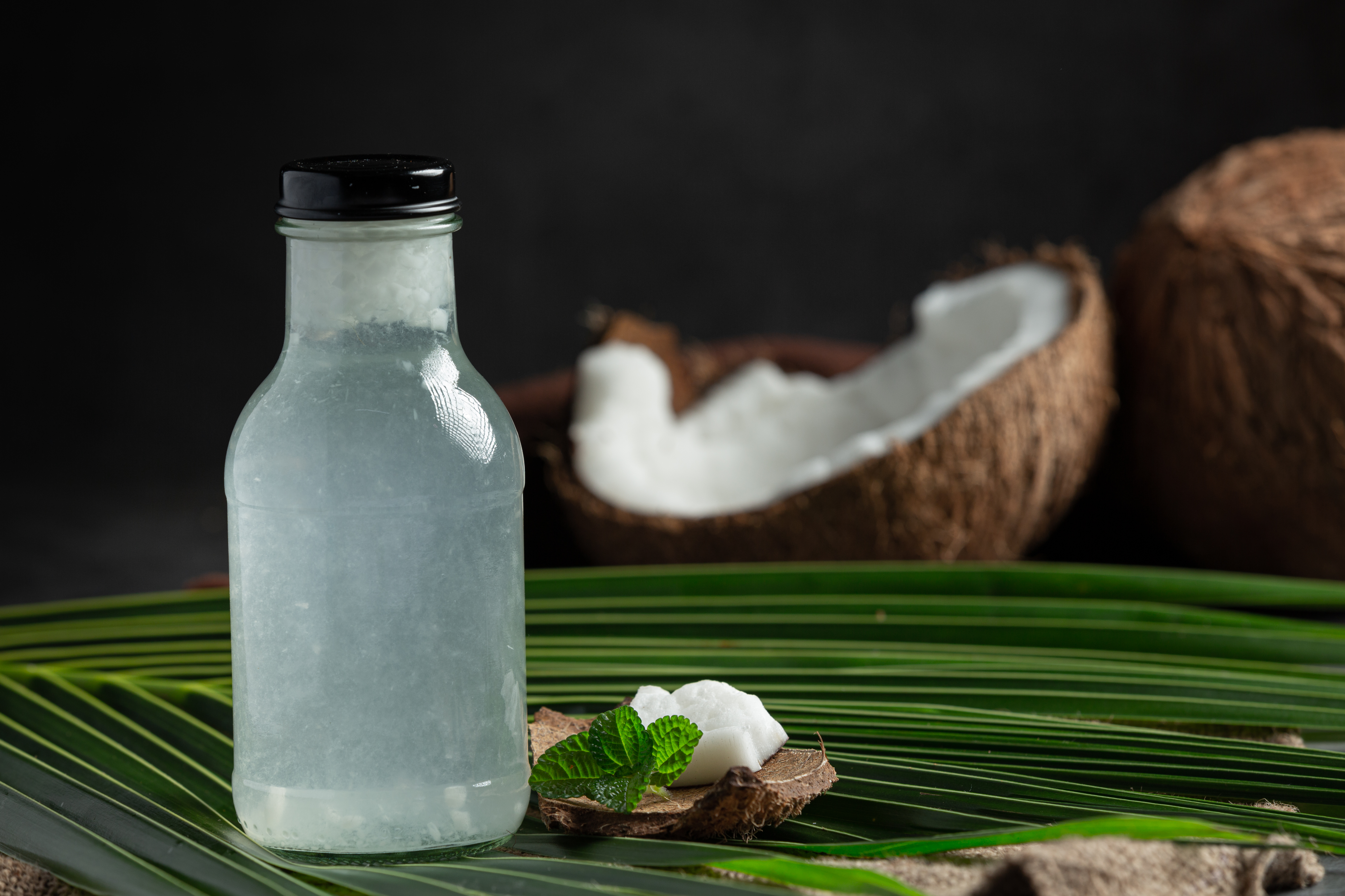 Coconut Syrup Market Size, Share and Future Growth