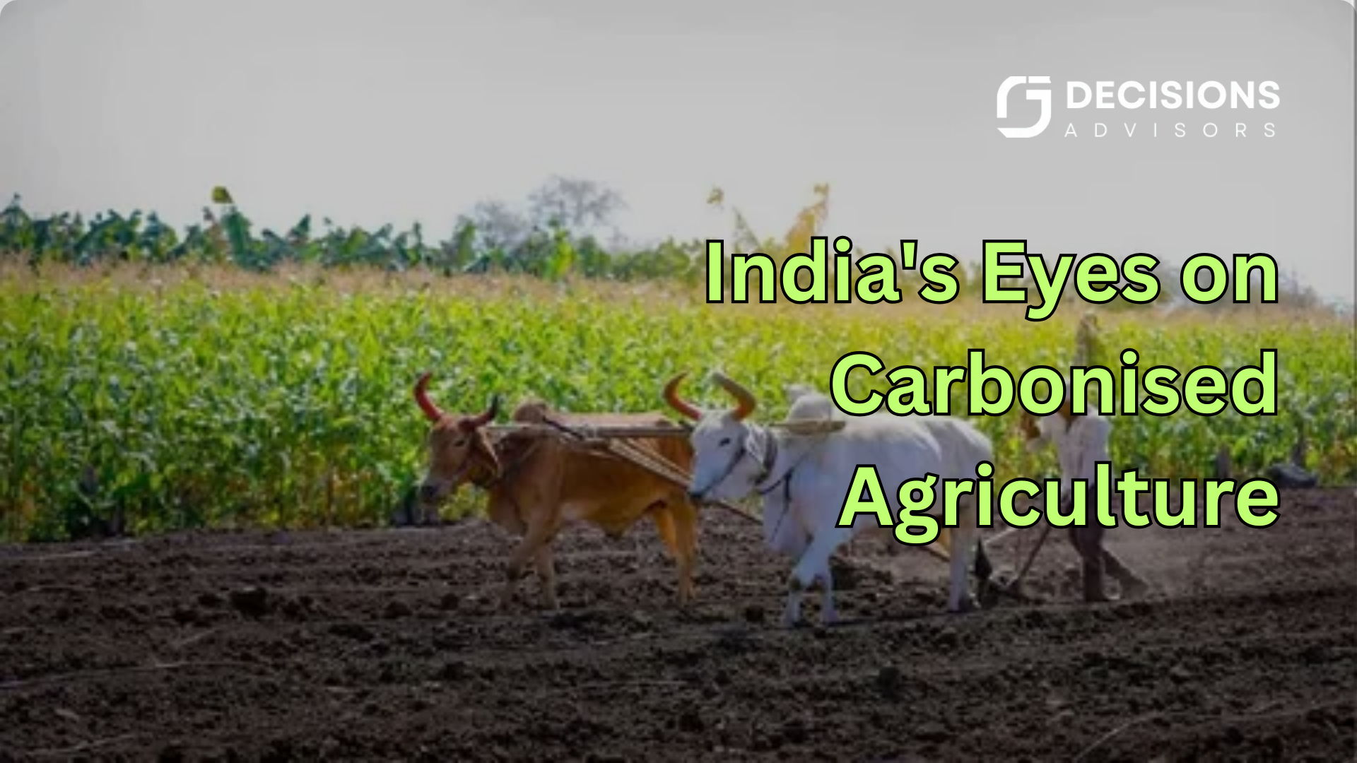 From Feeding to Sustainable: India's Eyes on Carbonised Agriculture
