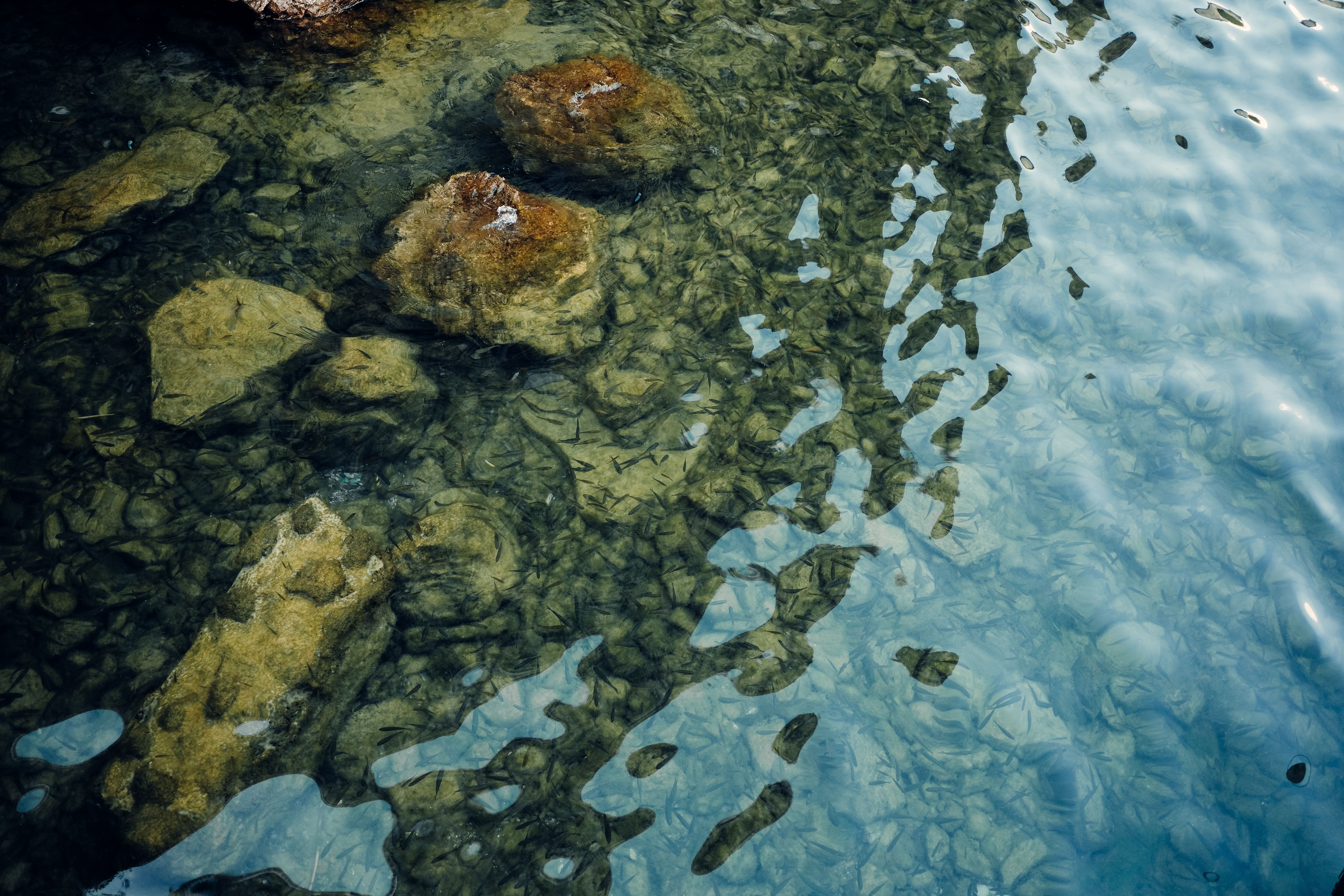Global Water Market Industry Analysis and Forecast