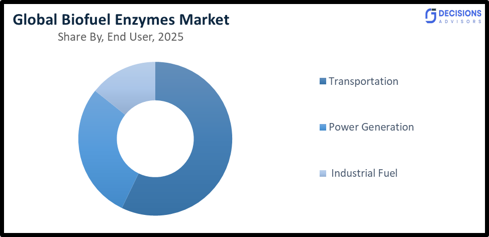 Global Biofuel Enzymes Market
