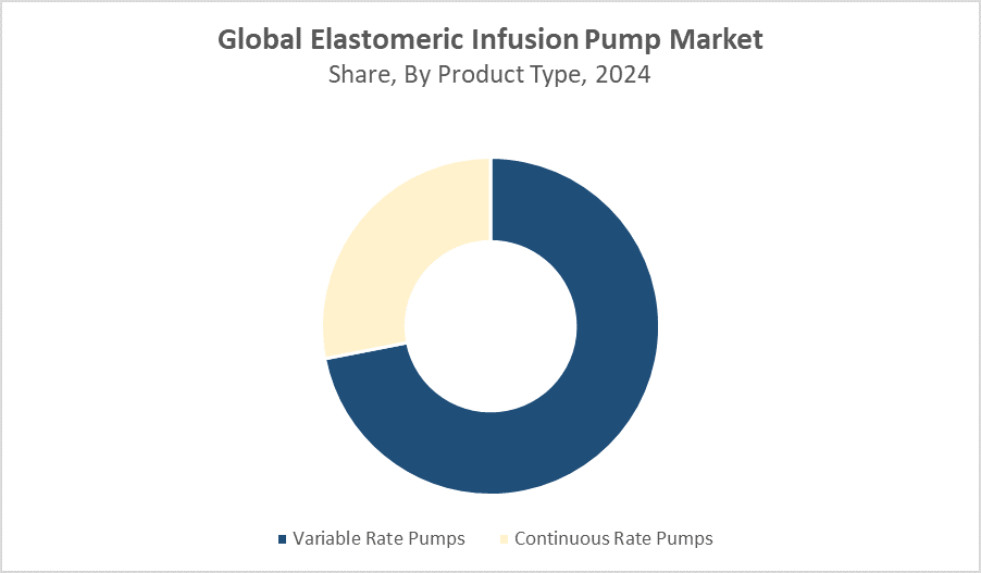 Global Elastomeric Infusion Pump Market Size