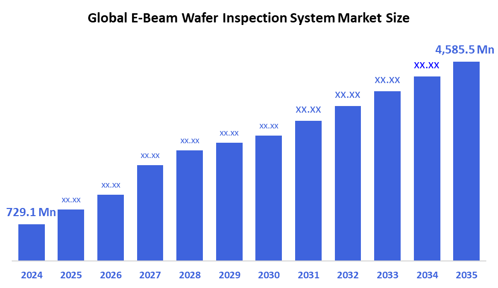 Global E-Beam Wafer Inspection System Market