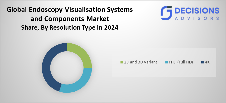 Global Endoscopy Visualisation Systems and Components Market