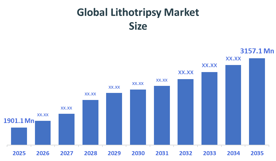 Global Lithotripsy Market
