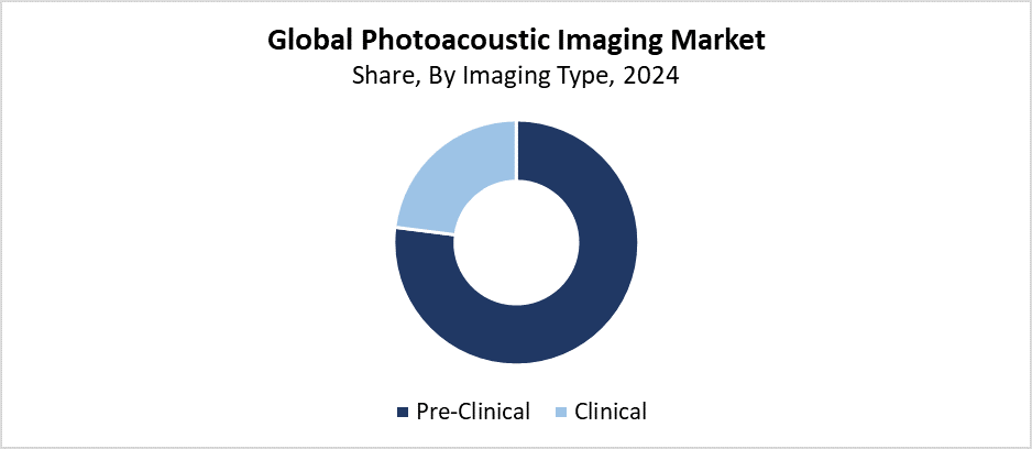 Global Photoacoustic Imaging Market