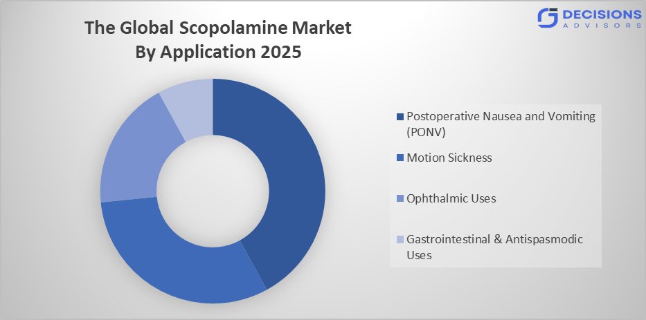 Global Scopolamine Market Size 
