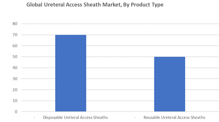 Global Ureteral Access Sheath Market