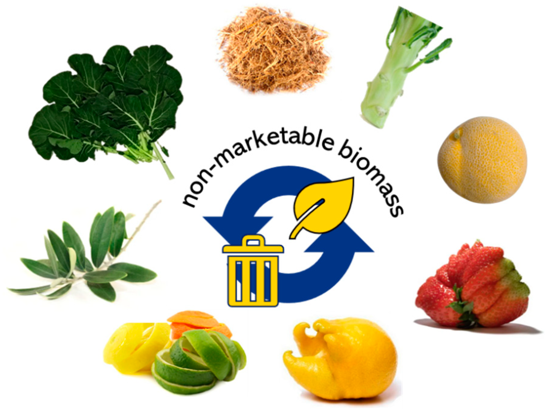 Agricultural Food Loss Reduction Solutions Market  Size and Growth