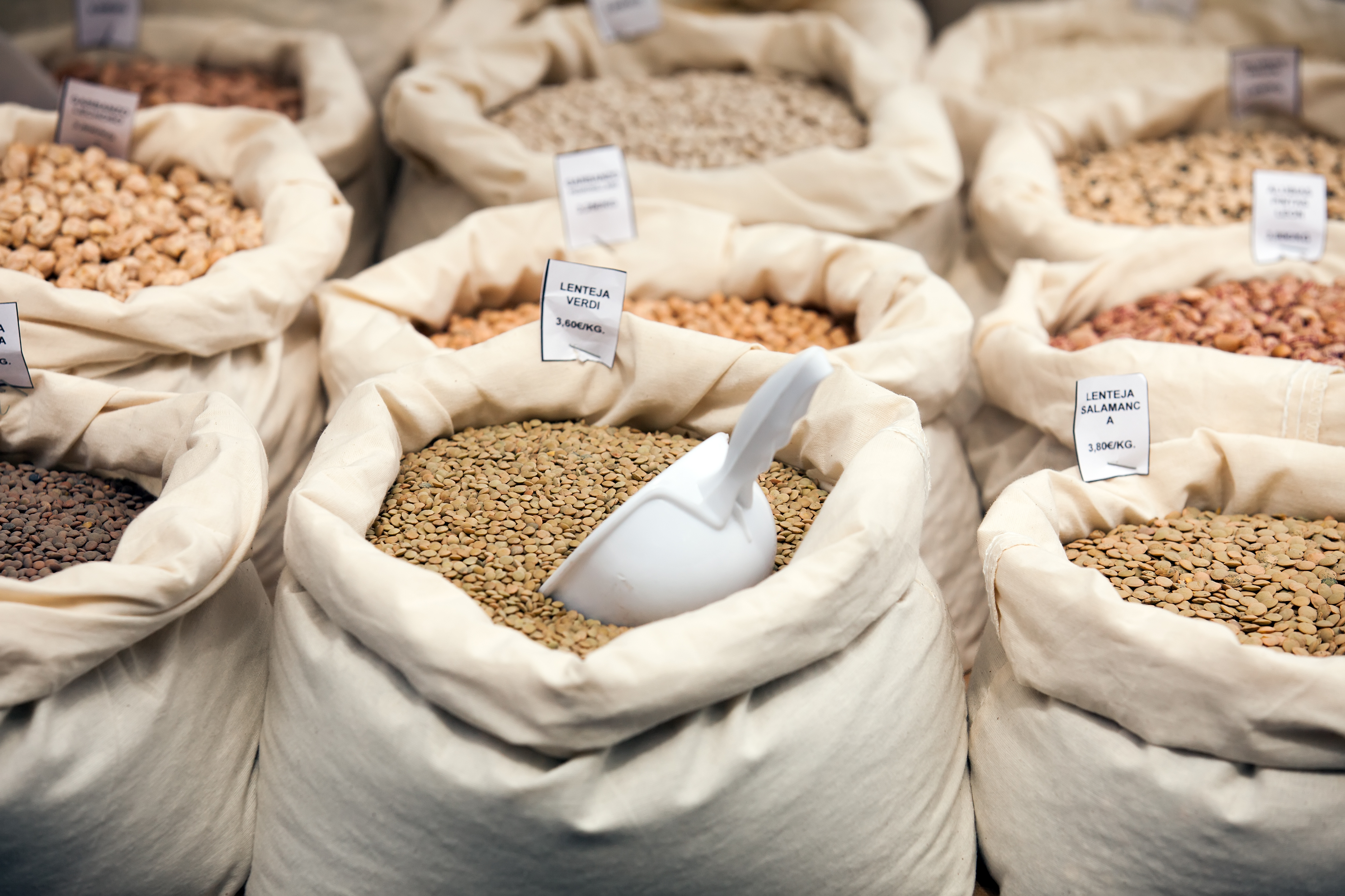 Animal Feed Additives Market Size and Forecast to 2035