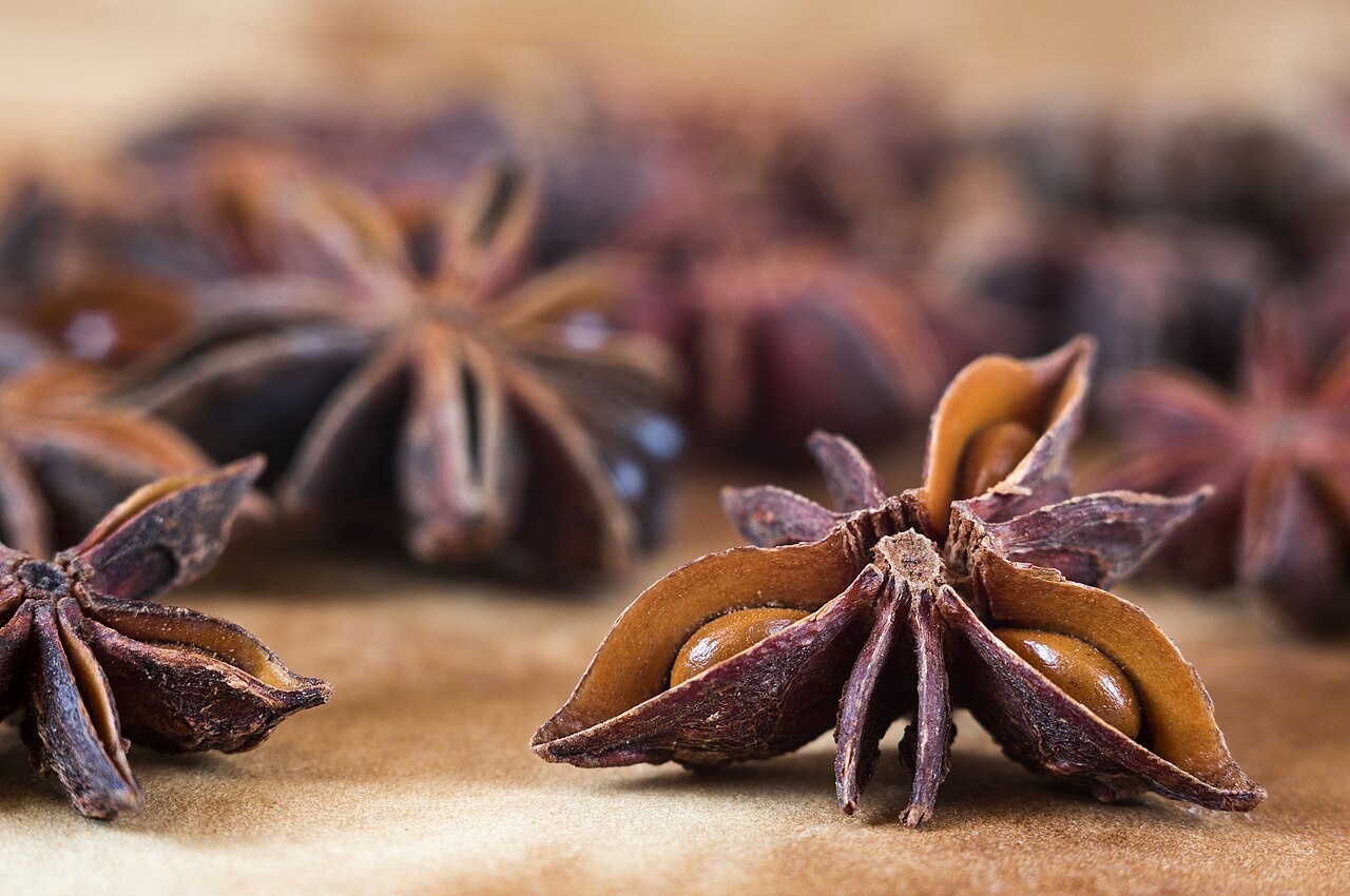 Anise Seed Market Size, Share and Future Growth