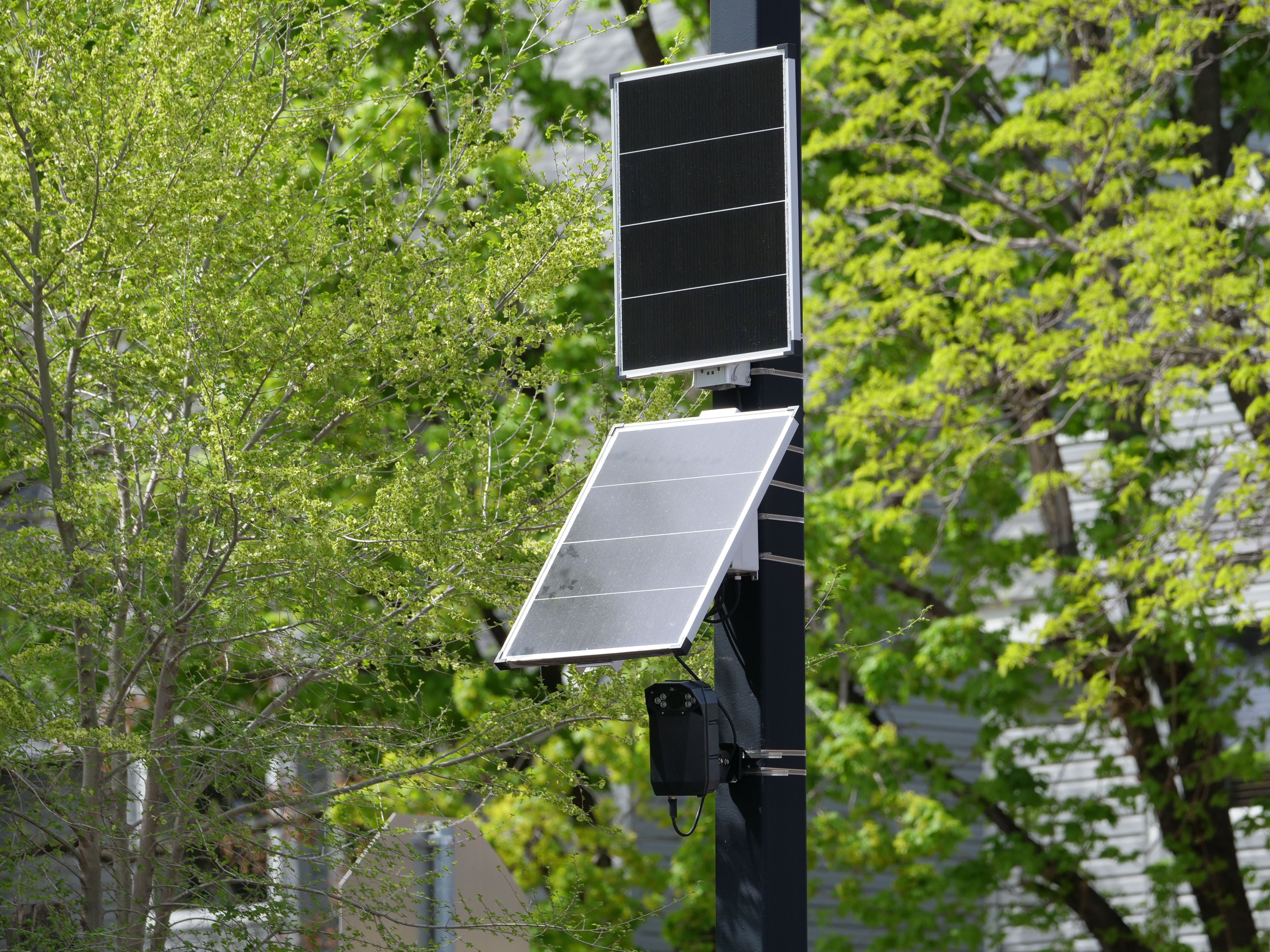 Global Area Sensor Market Growth, Trends and Future Outlook