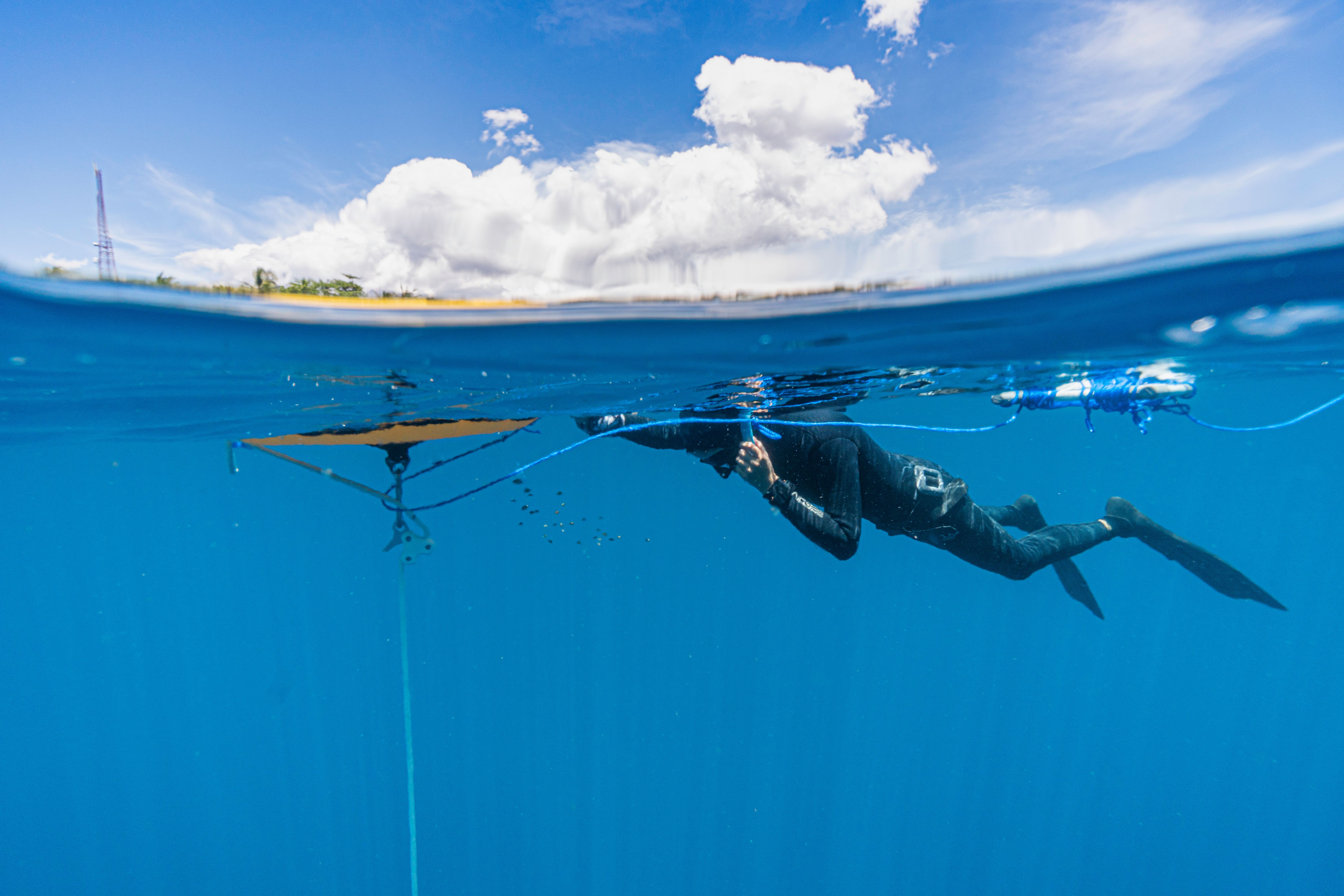 AUV and ROV Market: Innovation & Growth Opportunities