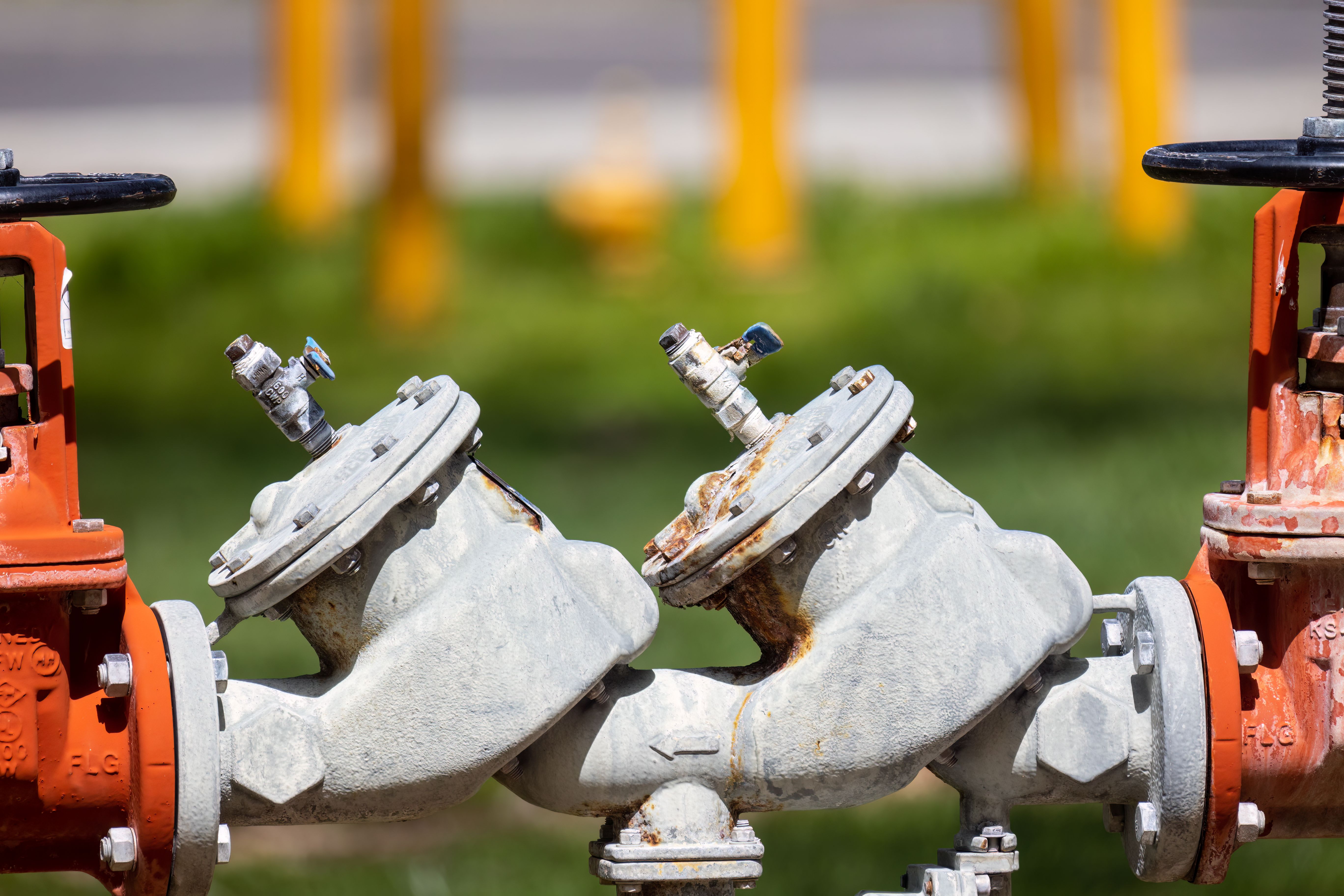 Backflow Preventers Market: Innovations and Future Outlook