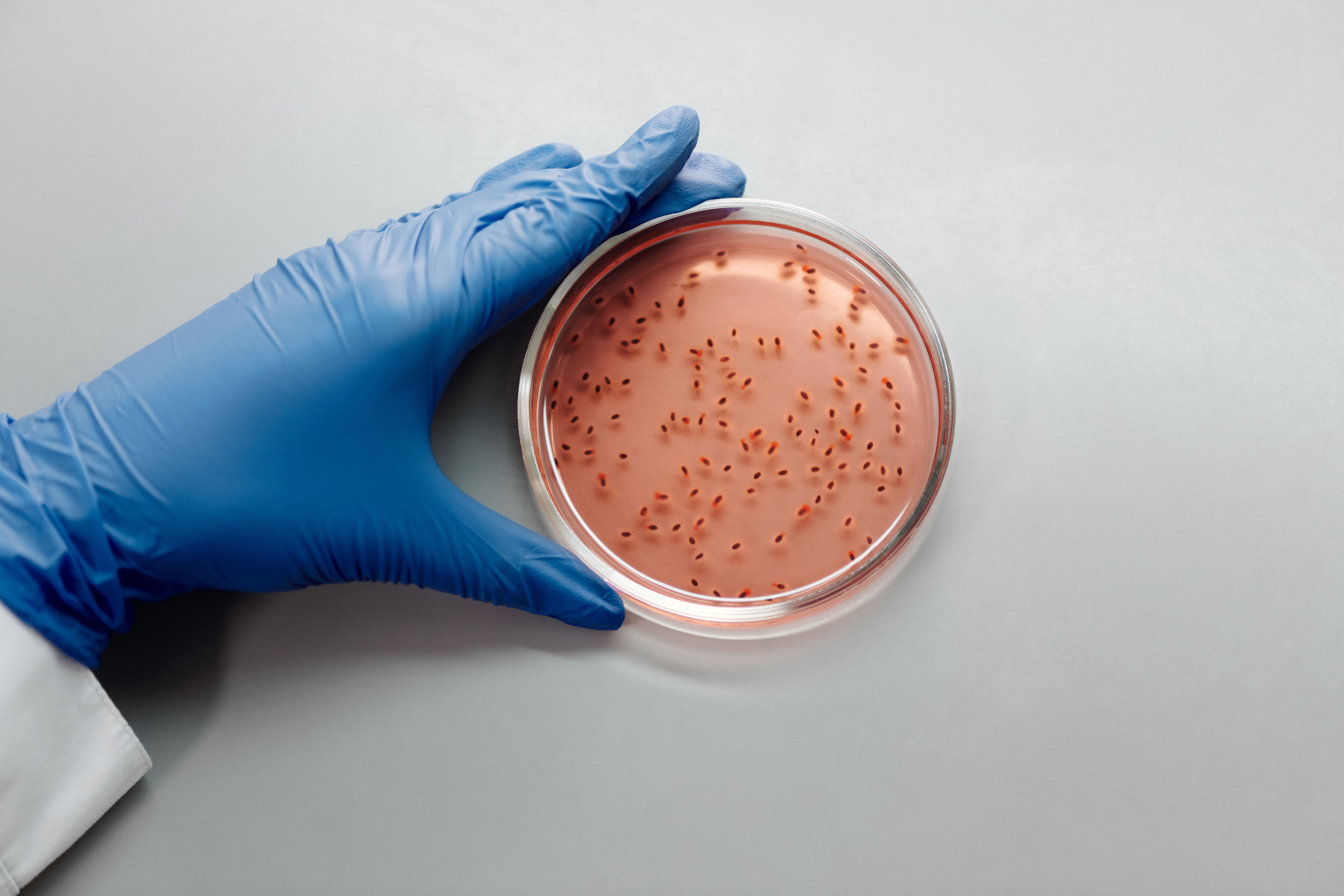 Bacterial Pneumonia Market: Emerging Trends and Growth Opportunities