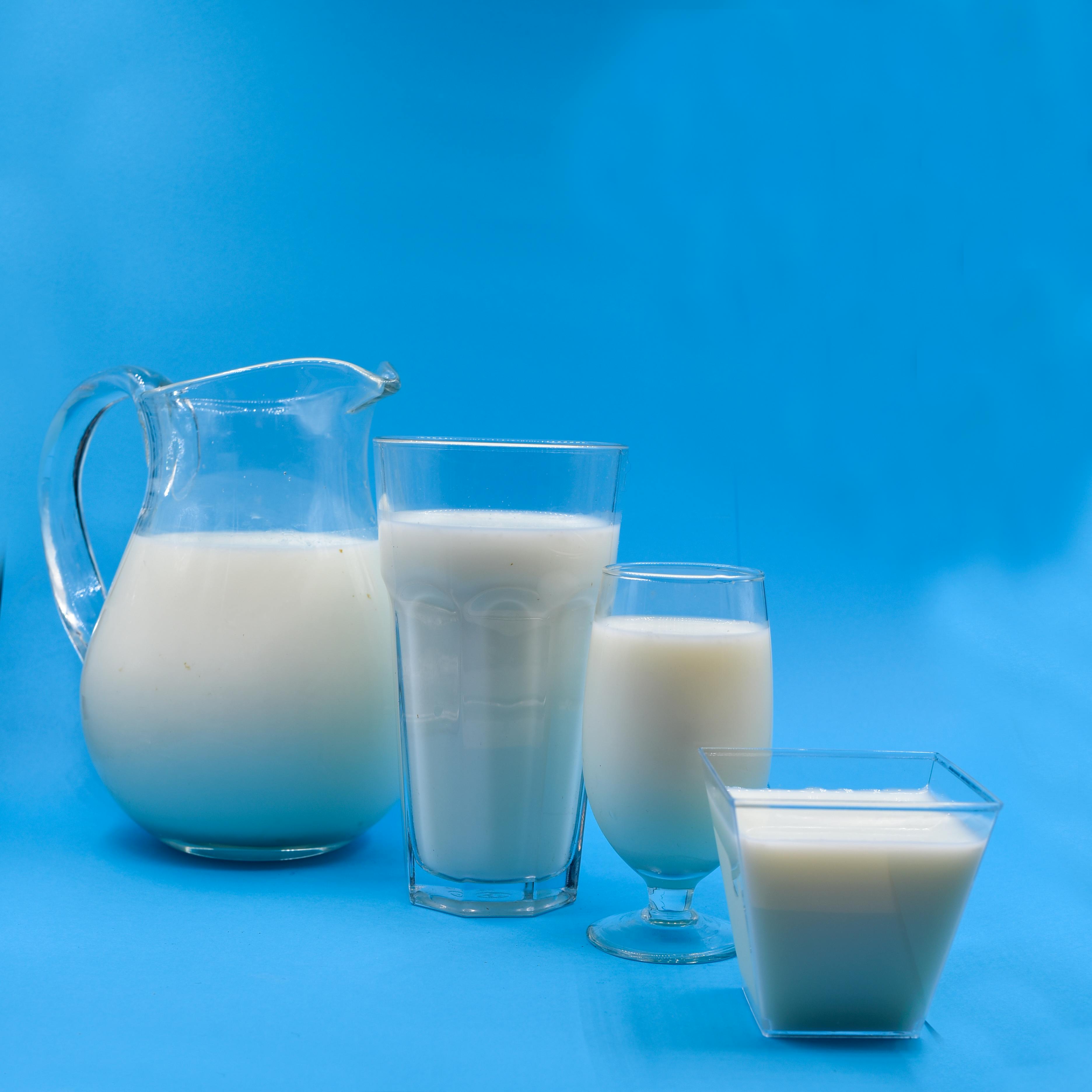 China Milk Protein Market: Industry Analysis and Forecast