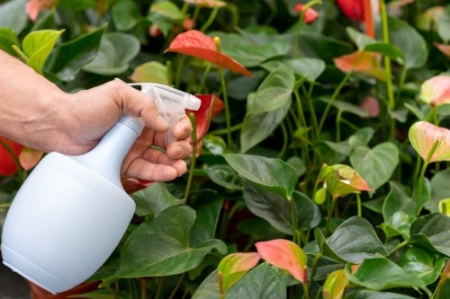 Global Botanical Pesticide Market Advancing Sustainable Crop Protection Solutions