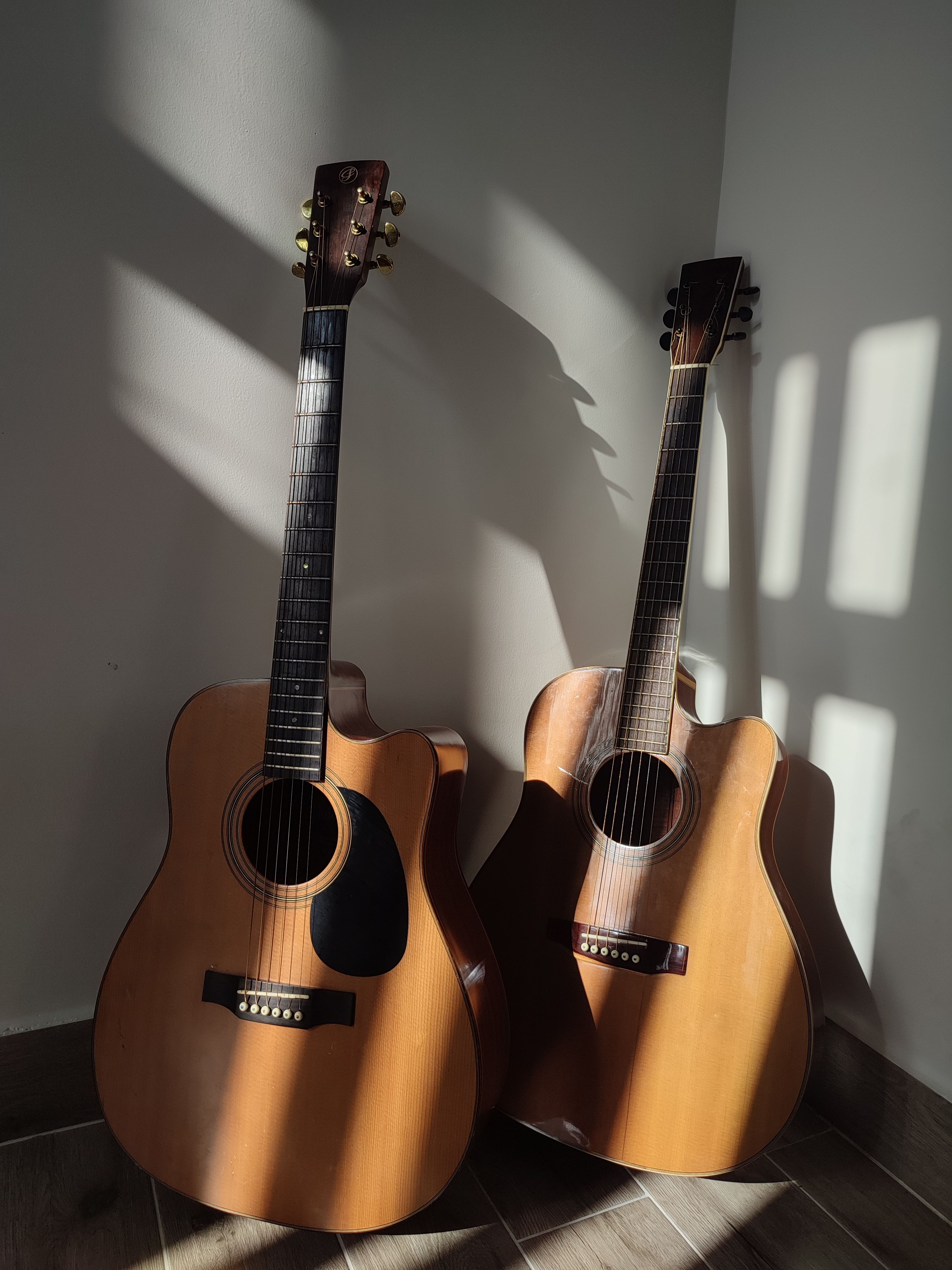 Global Acoustic Guitar Market: Industry Analysis and Forecast