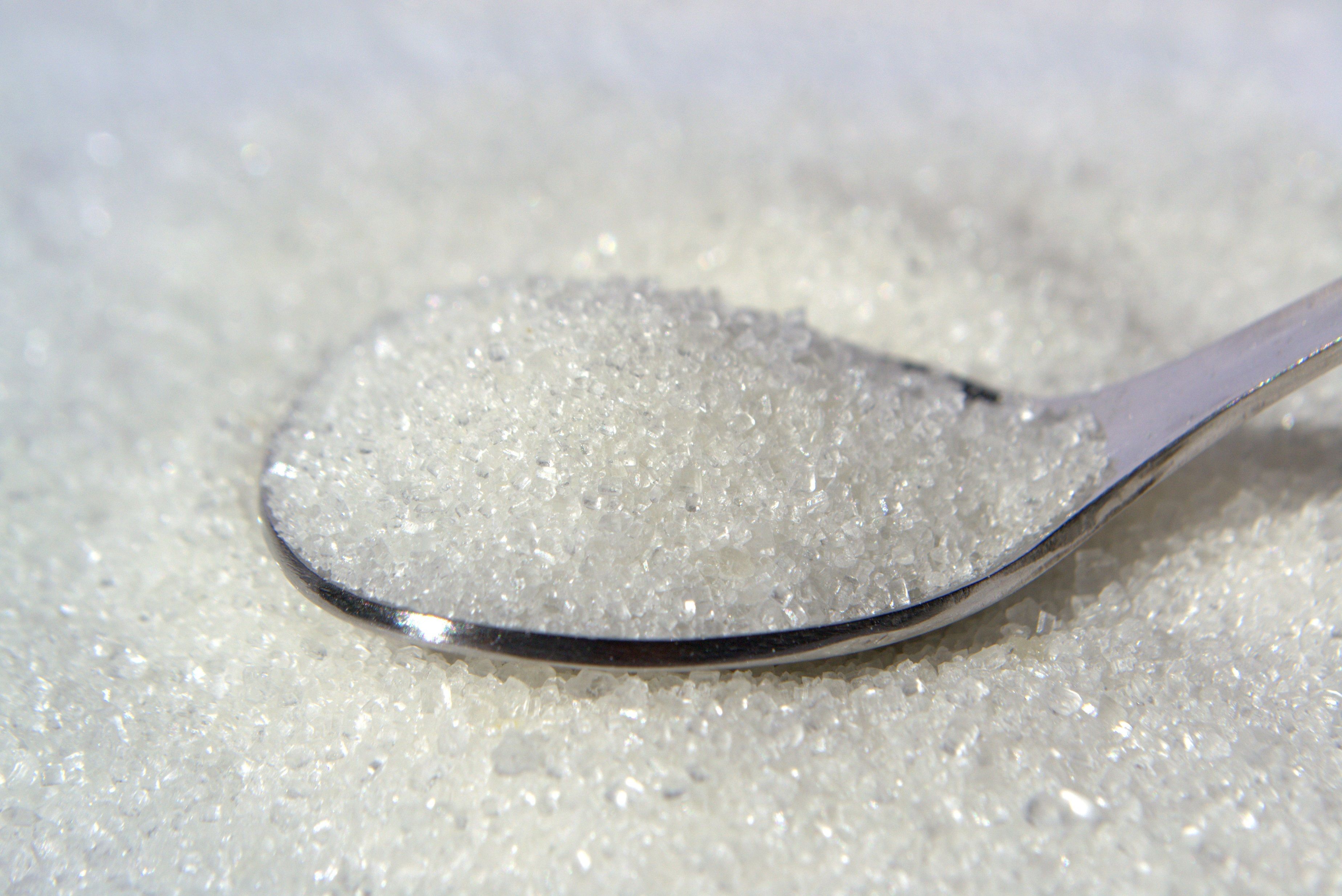 Global Allulose Market: Industry Analysis and Forecast