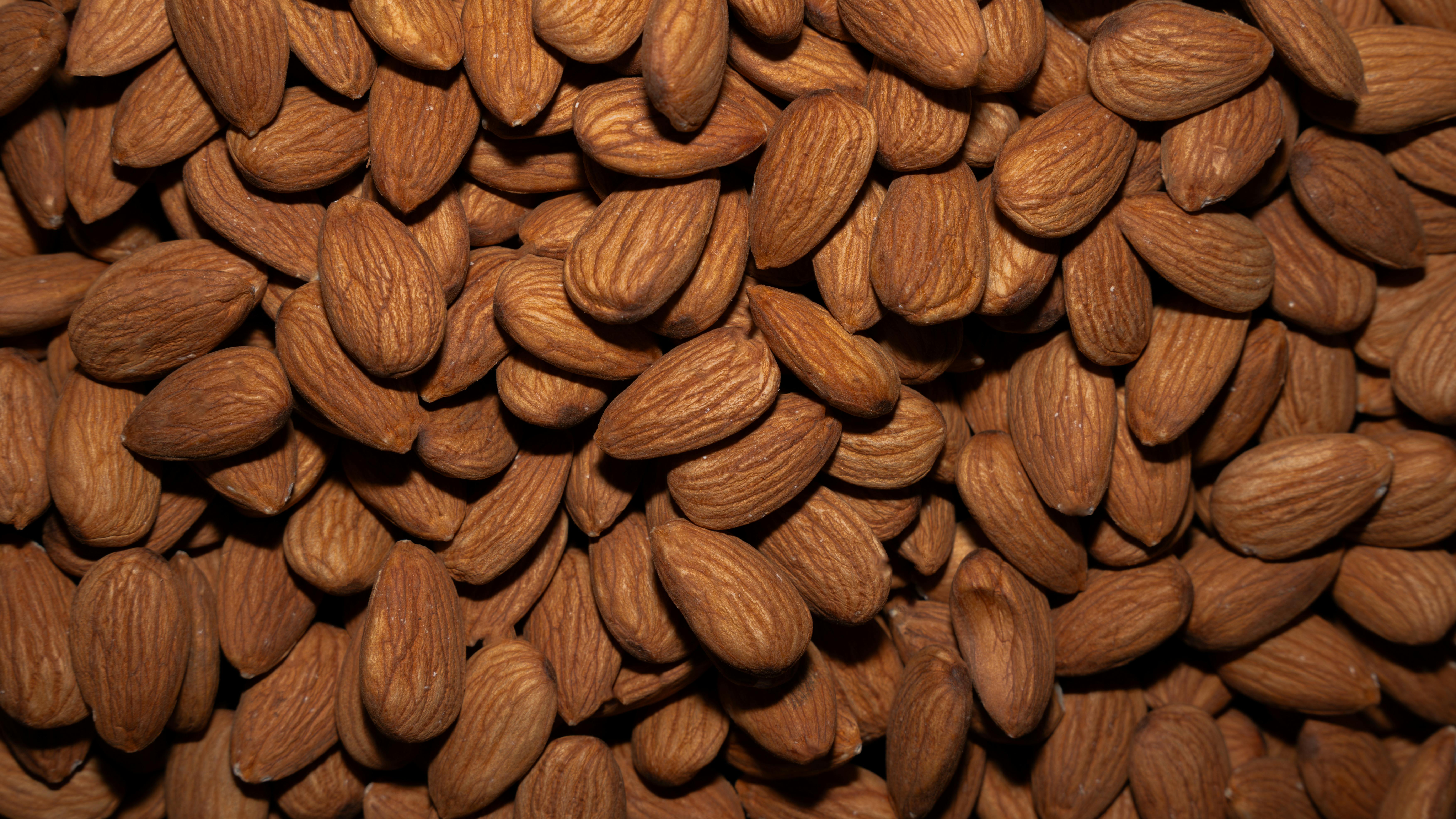 Global Almond Ingredients Market Size and Forecast to 2035