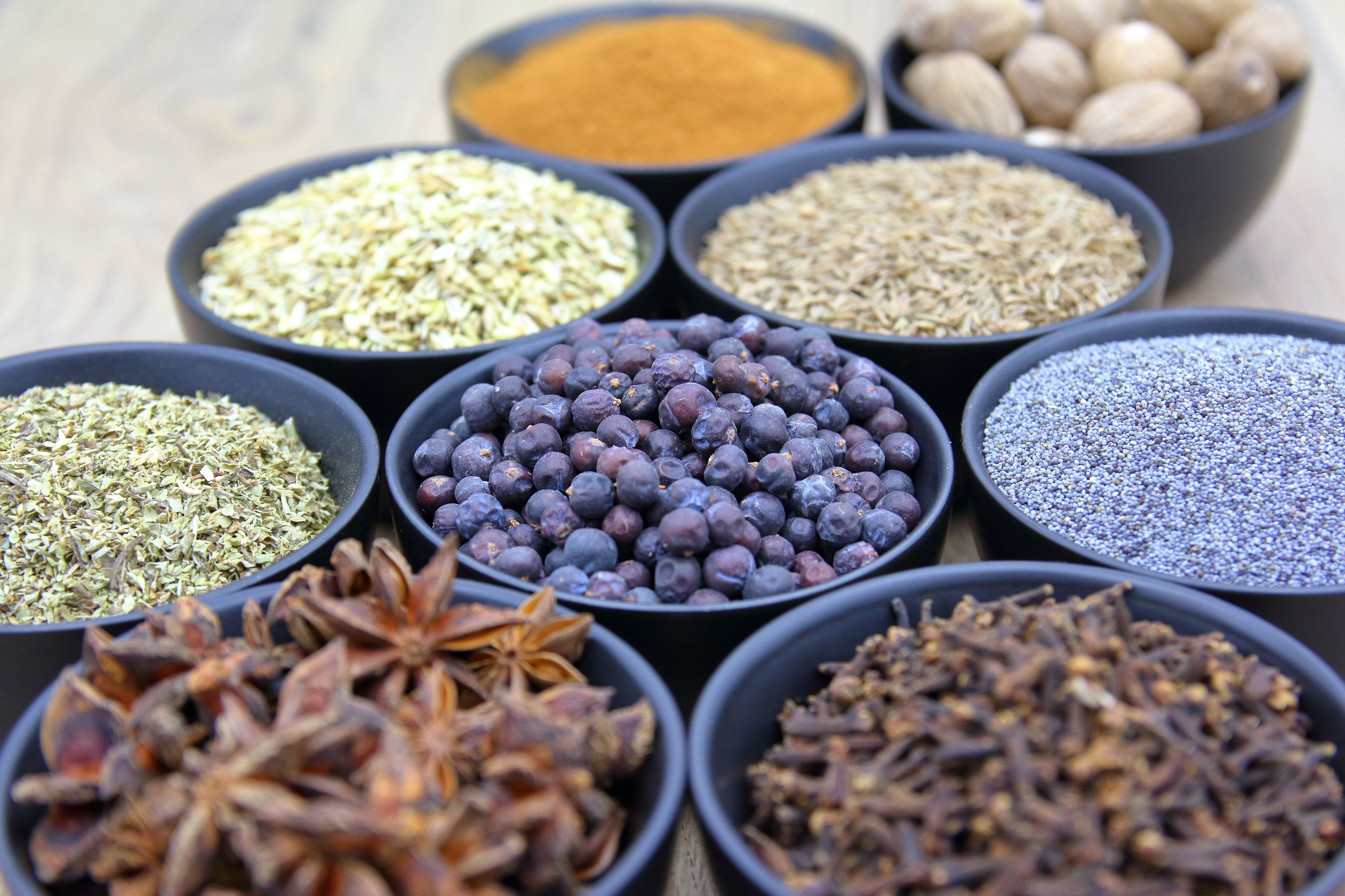 Anise Seed Extract Market Insights, Future Outlook
