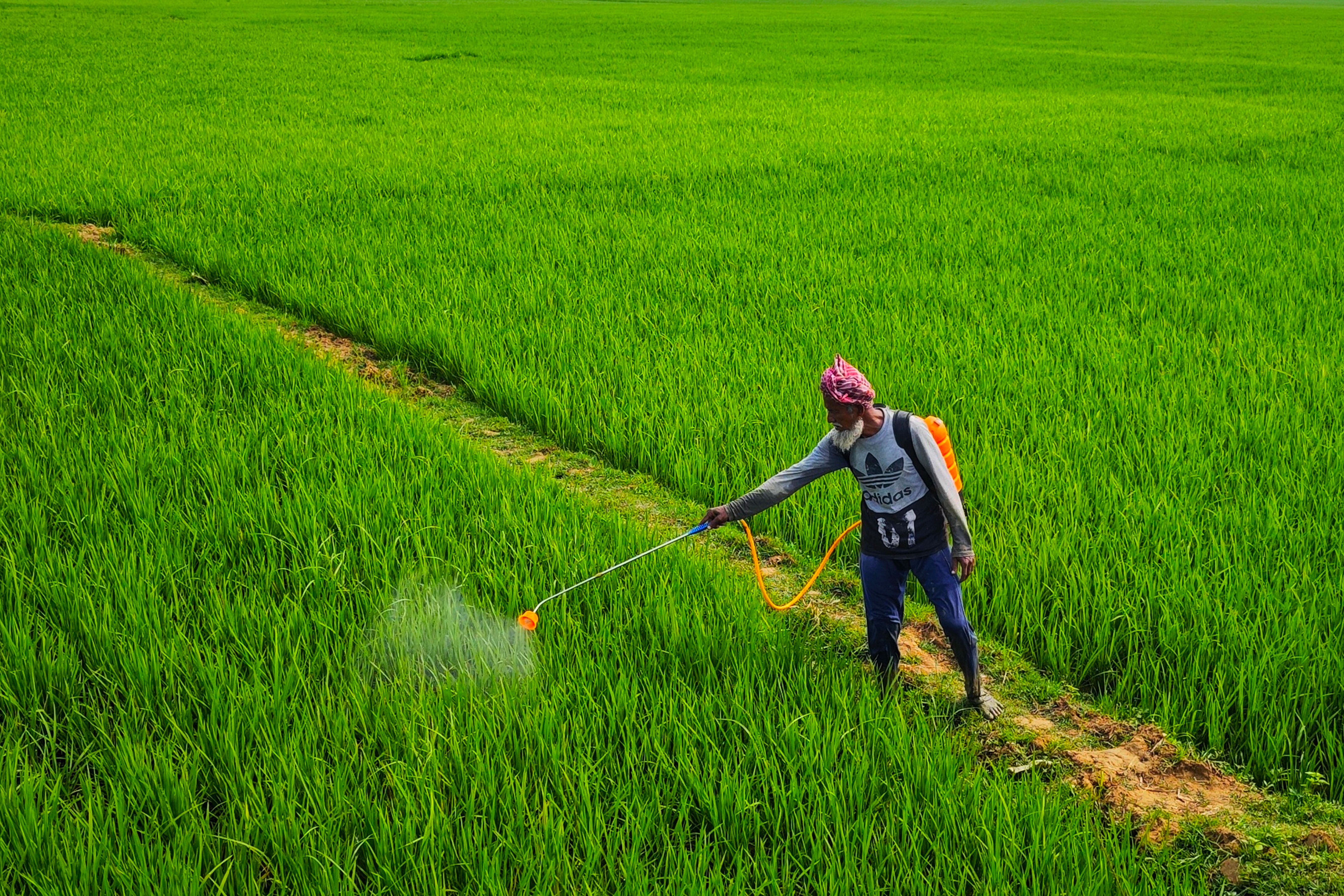 Global Biopesticides Market: Future Growth & Trends