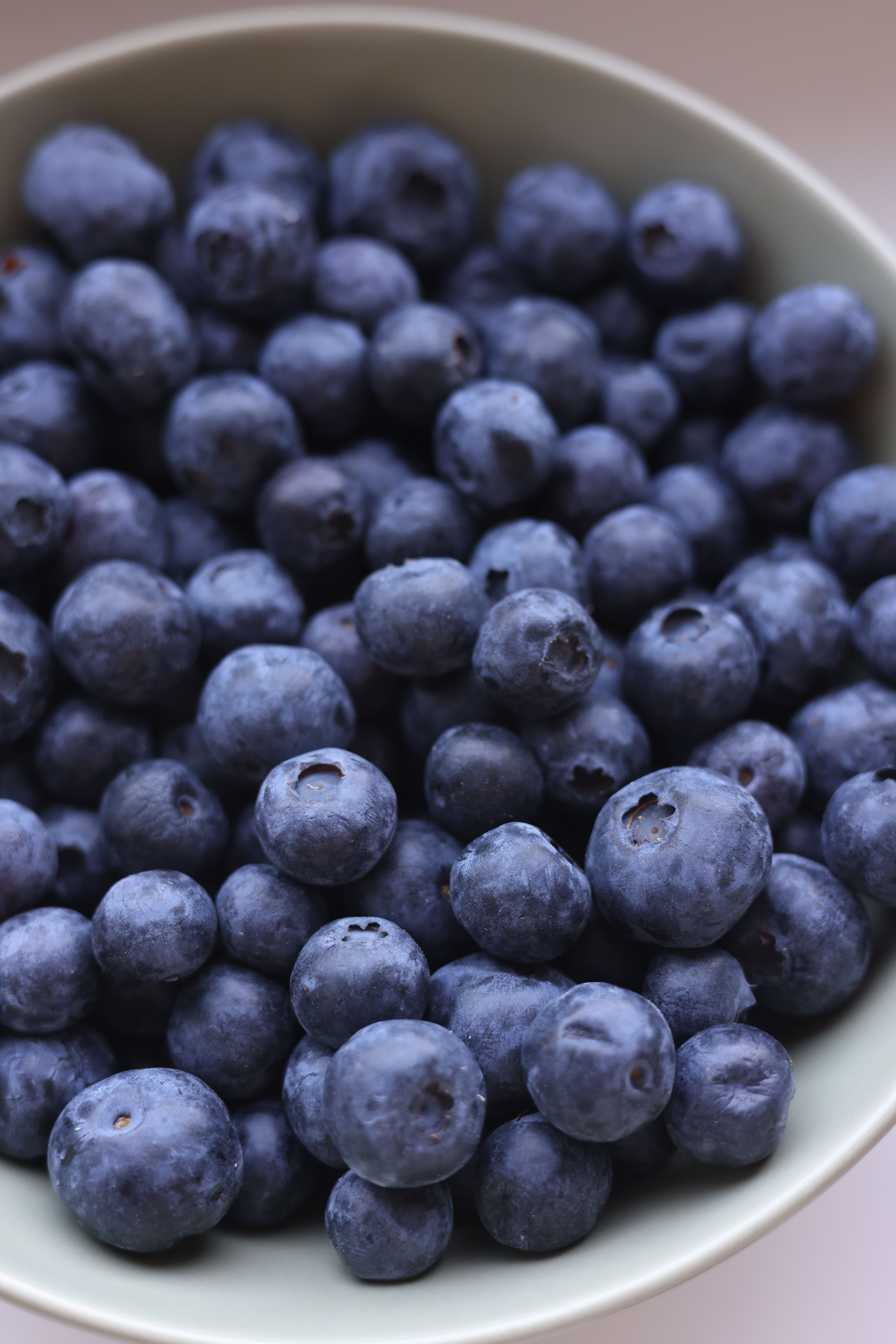 Blueberry Ingredient Market Size, Trend, Analysis To 2033