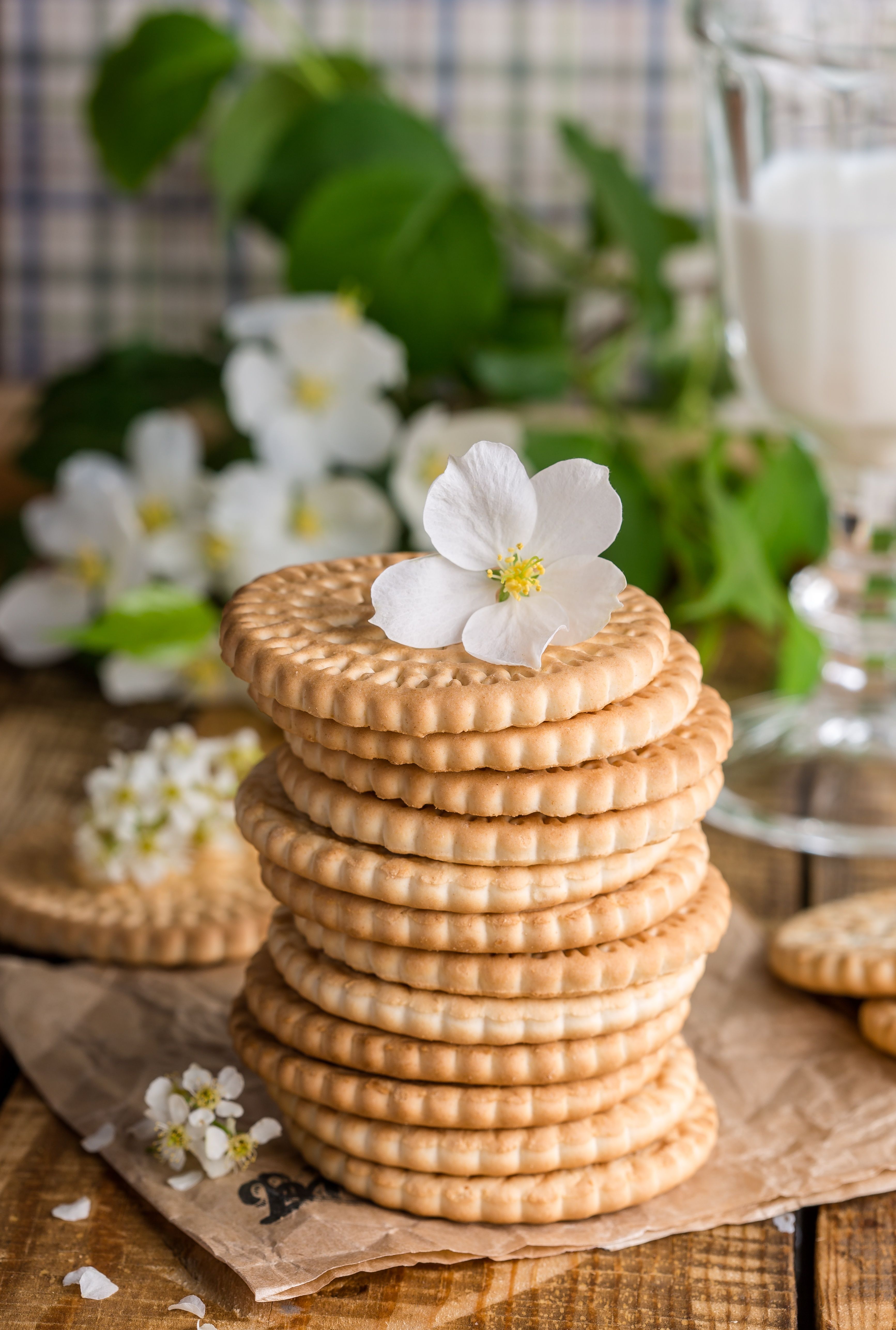Breakfast Biscuit Market Size, Share, Scope, Forecast to 2033