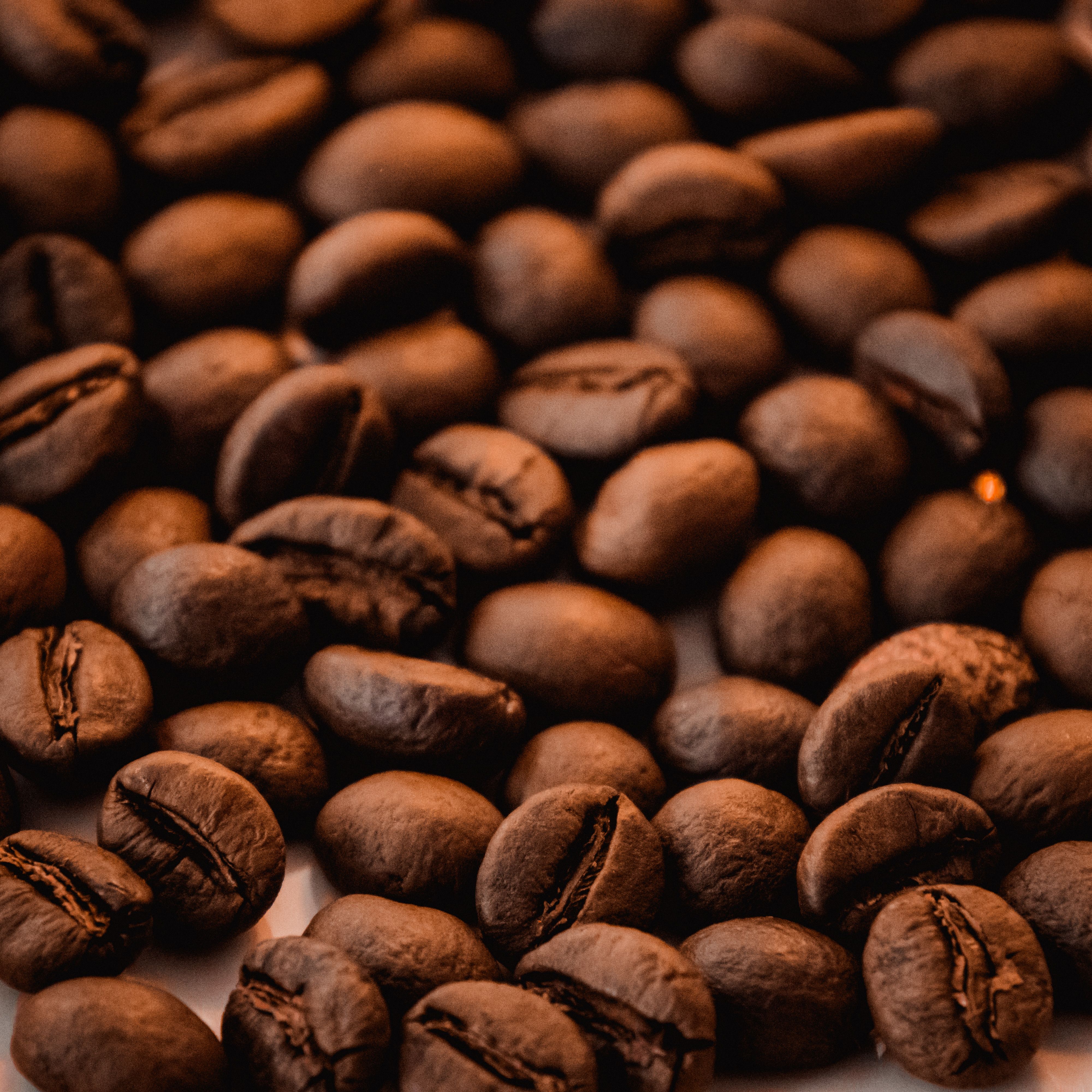Global Cocoa Beans Market Outlook, Demand and Future Scope