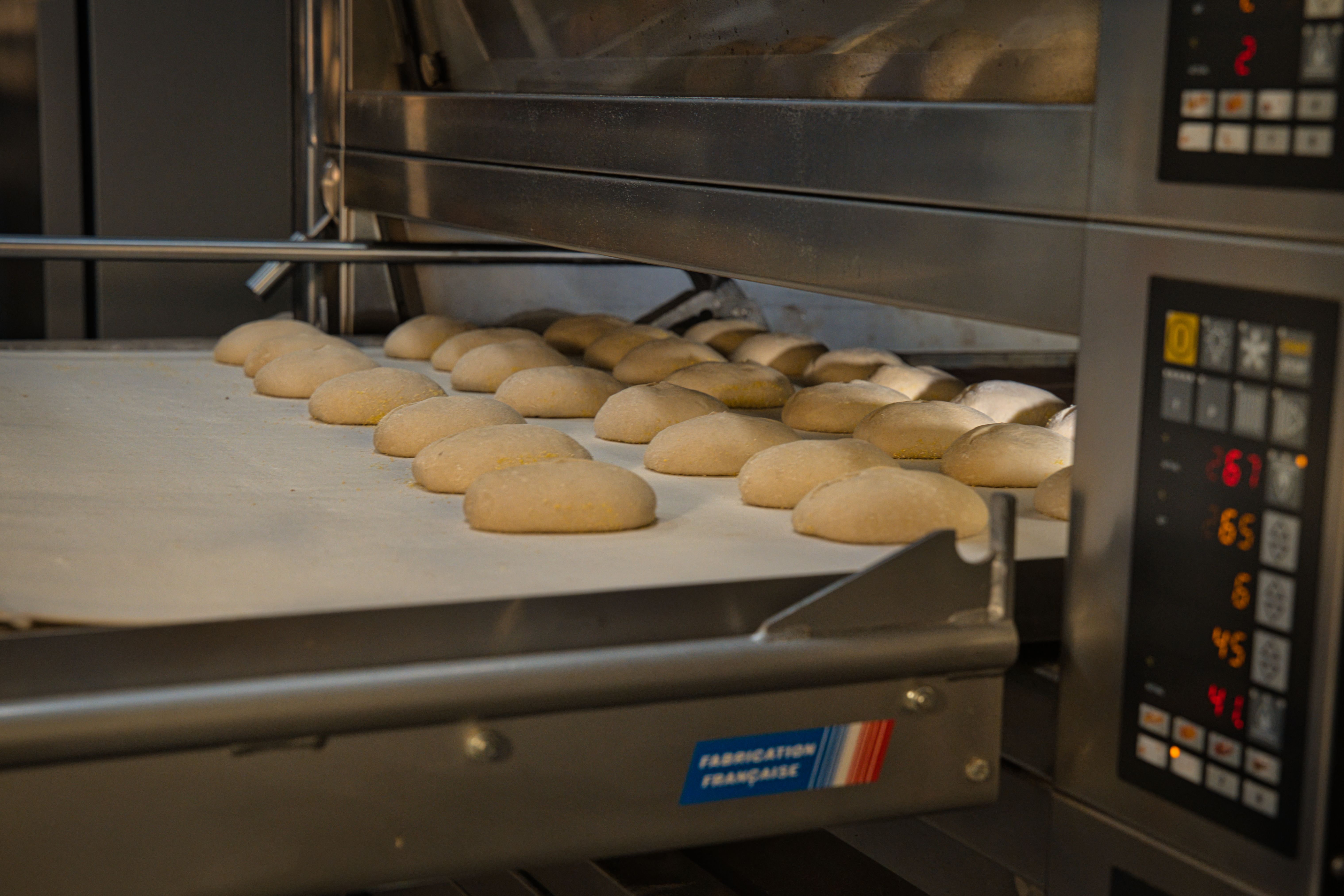 Global Commercial Bakery Processing Equipment Market: Industry Analysis and Forecast