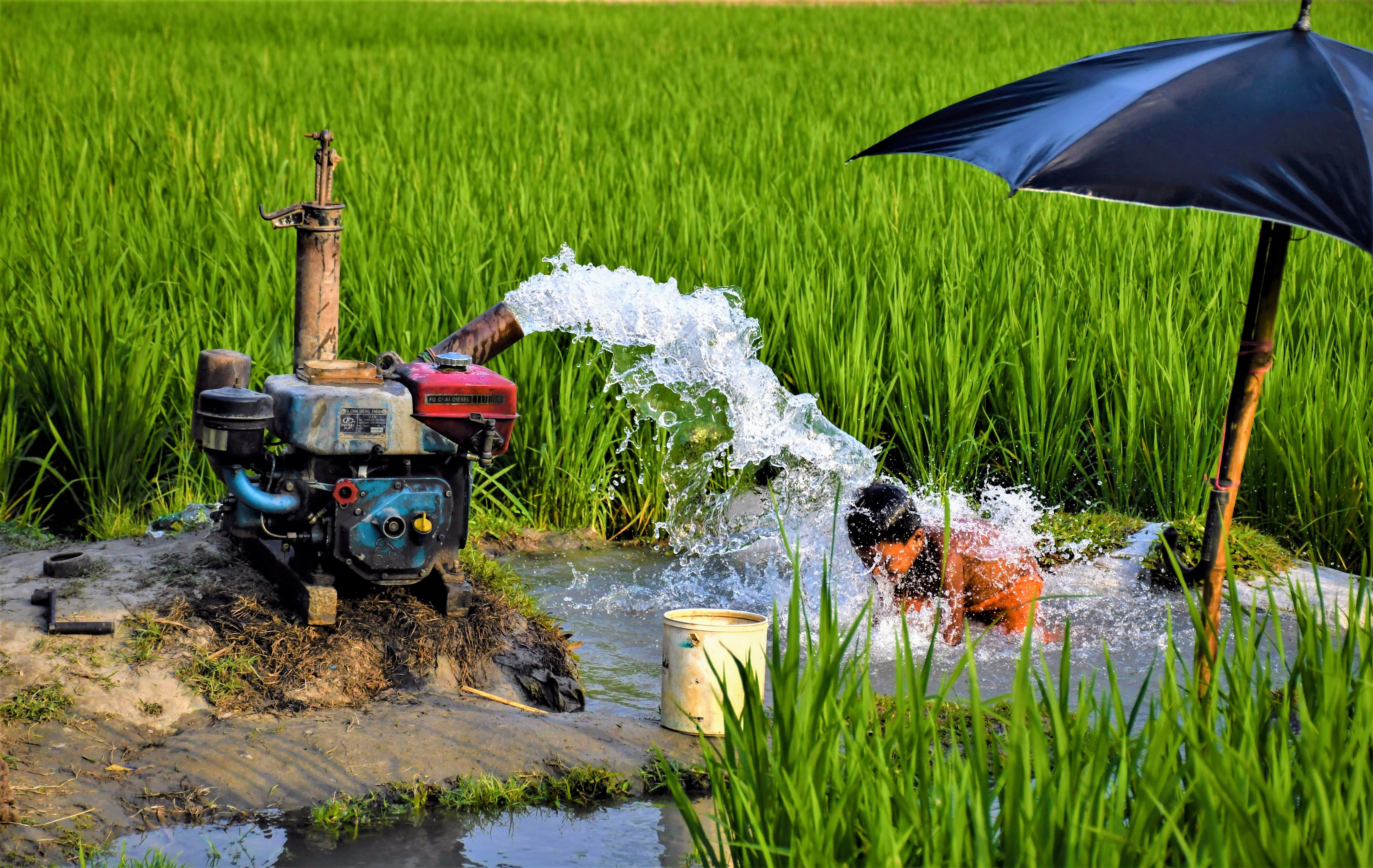 Irrigation Pumps Market Outlook, Demand, Future Scope