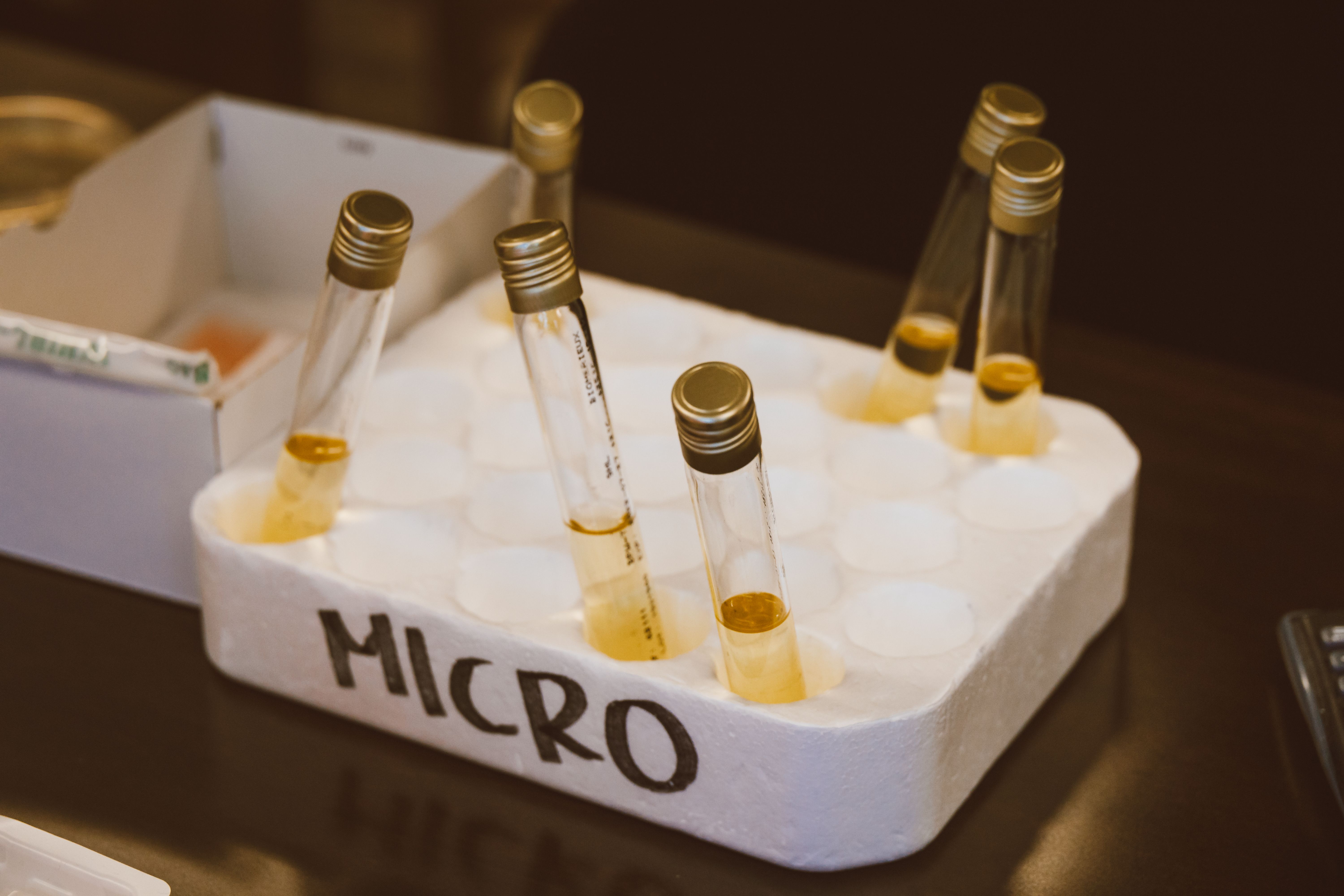 Microcarriers Industry: Emerging Trends & Market Opportunities