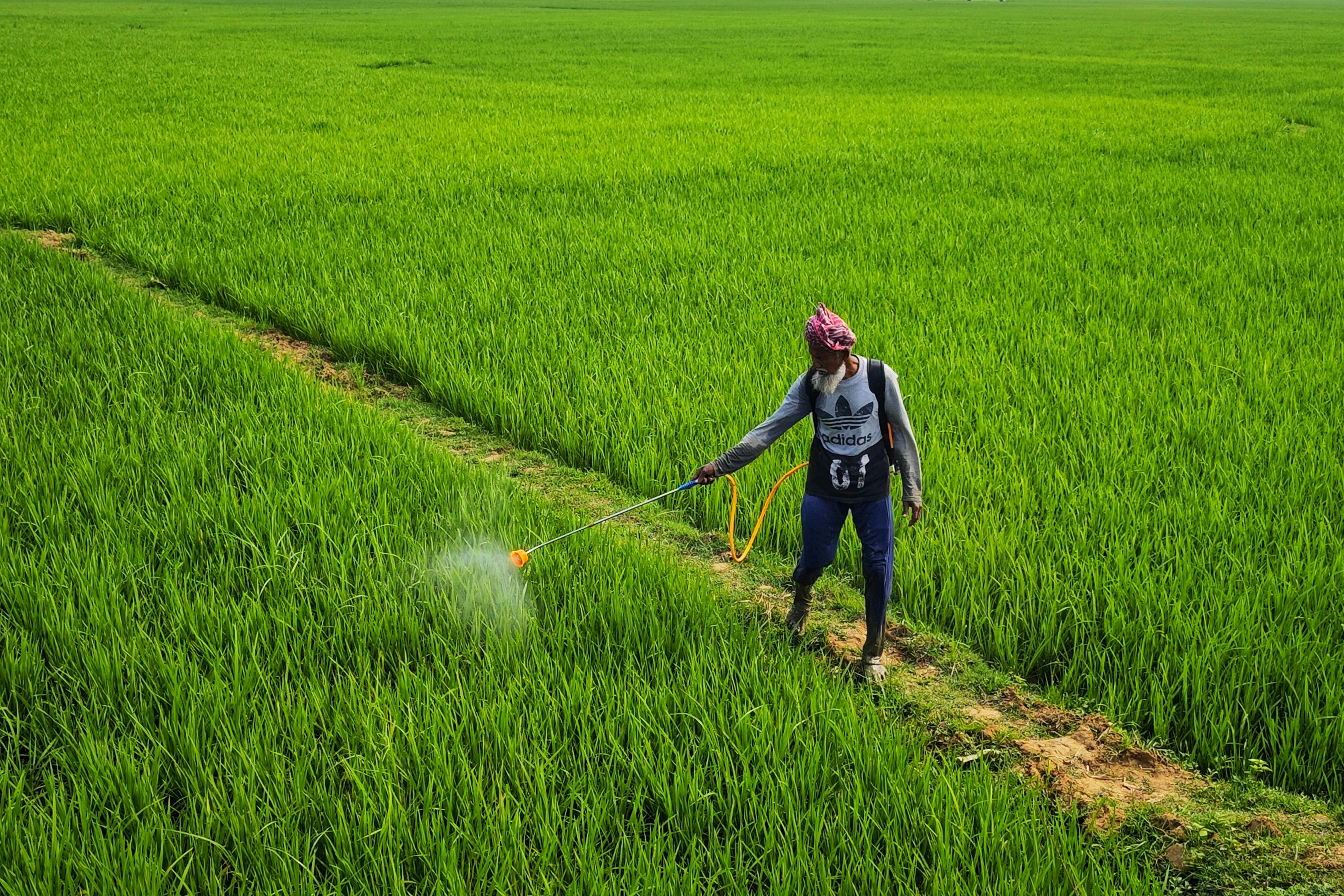 Global Microencapsulated Pesticides Market Size, Share