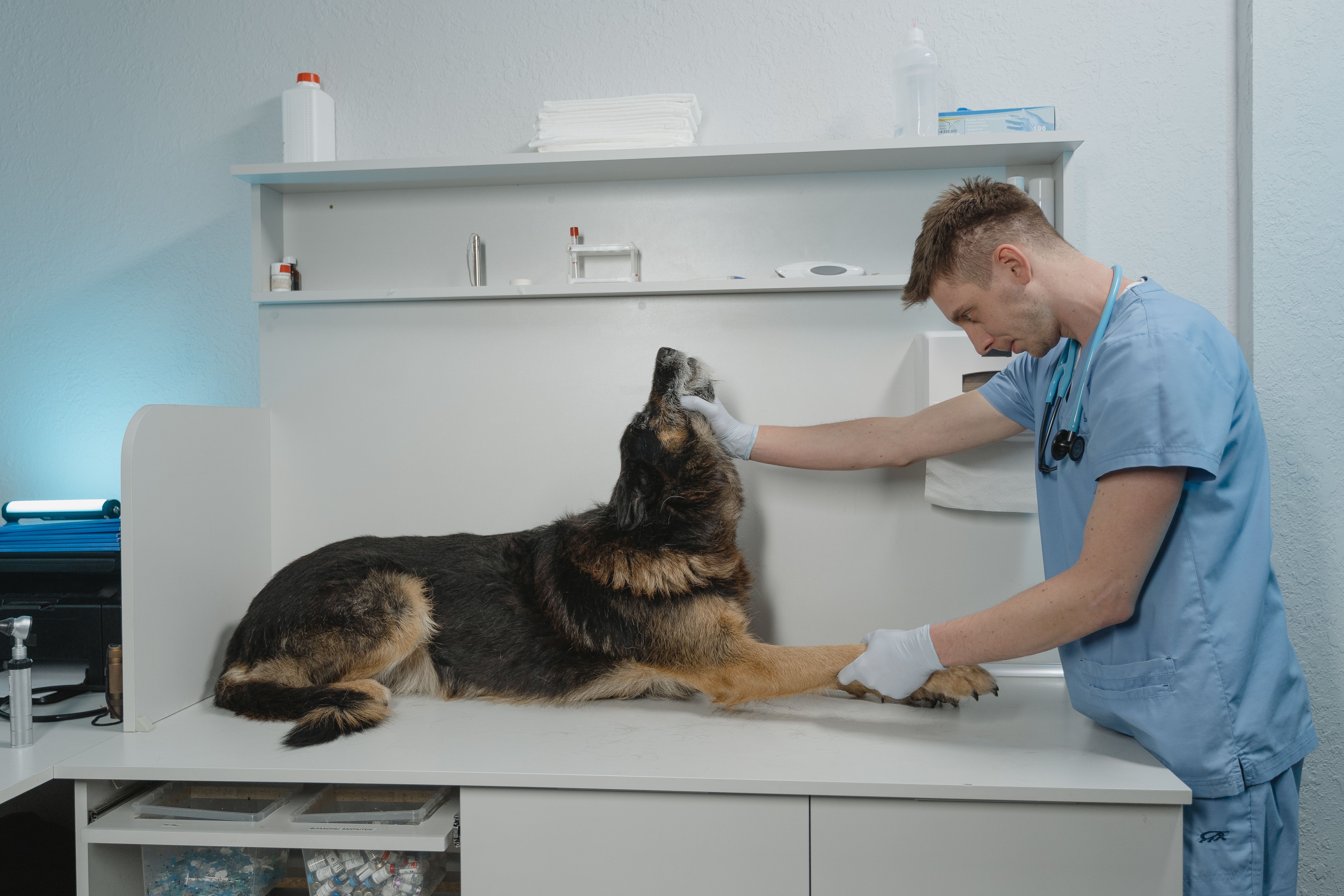 Veterinary Antiseptics Market Trend, Analysis