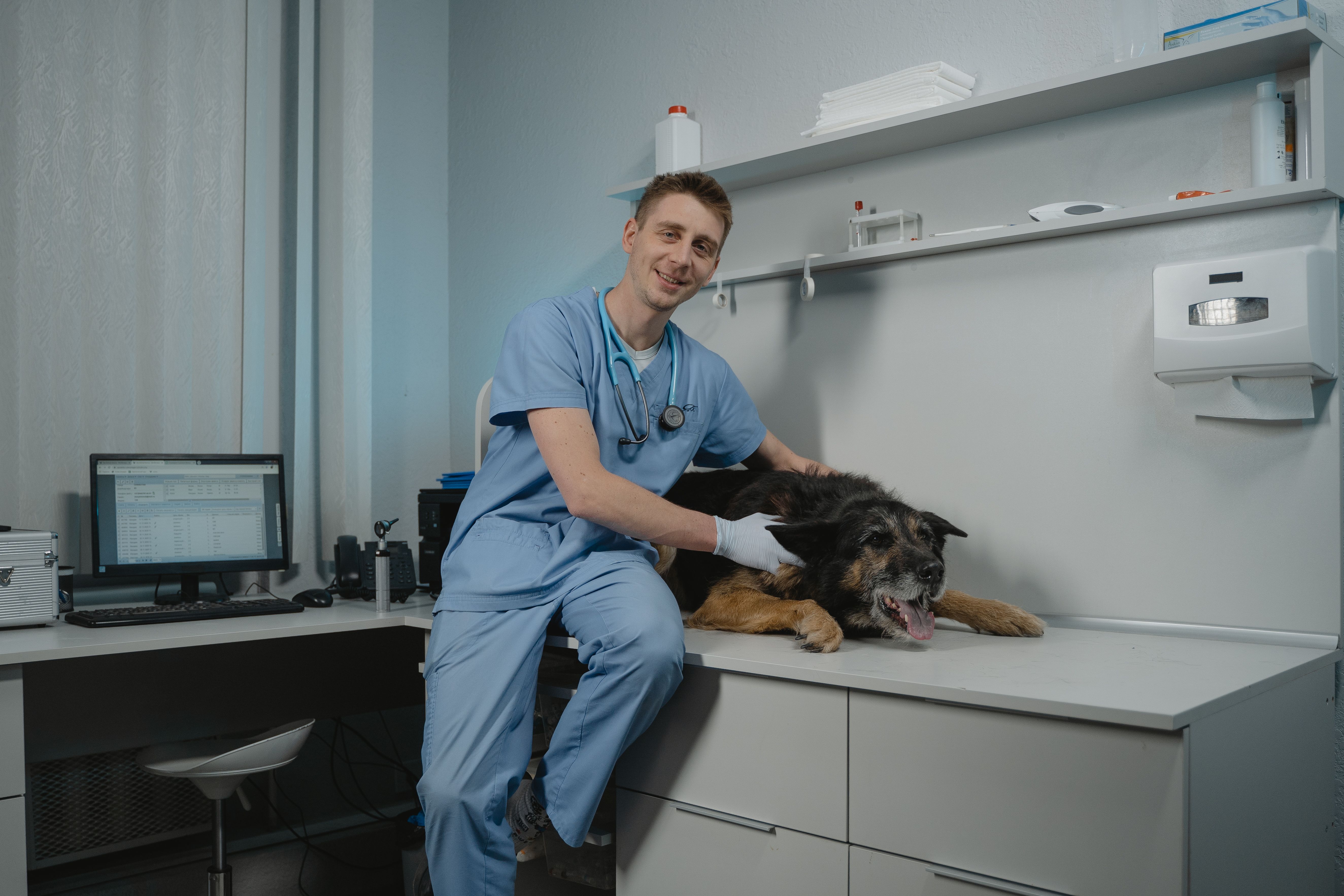 Global Veterinary Services Market: Industry Analysis and Forecast