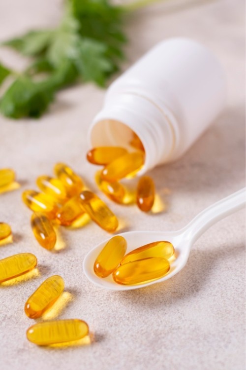 Canada Fish Oil Market: Riding the Wave of Nutritional Awareness