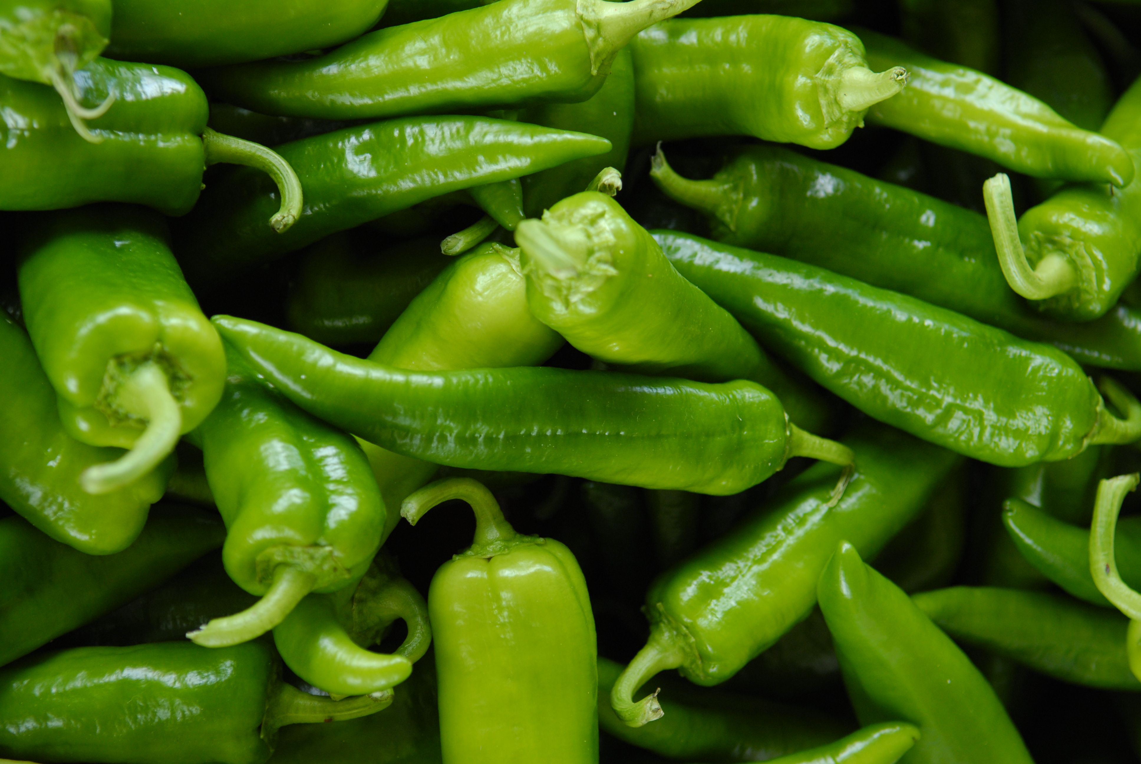 Jalapeno Pepper Market Size, Trends, Forecast, Growth to 2035