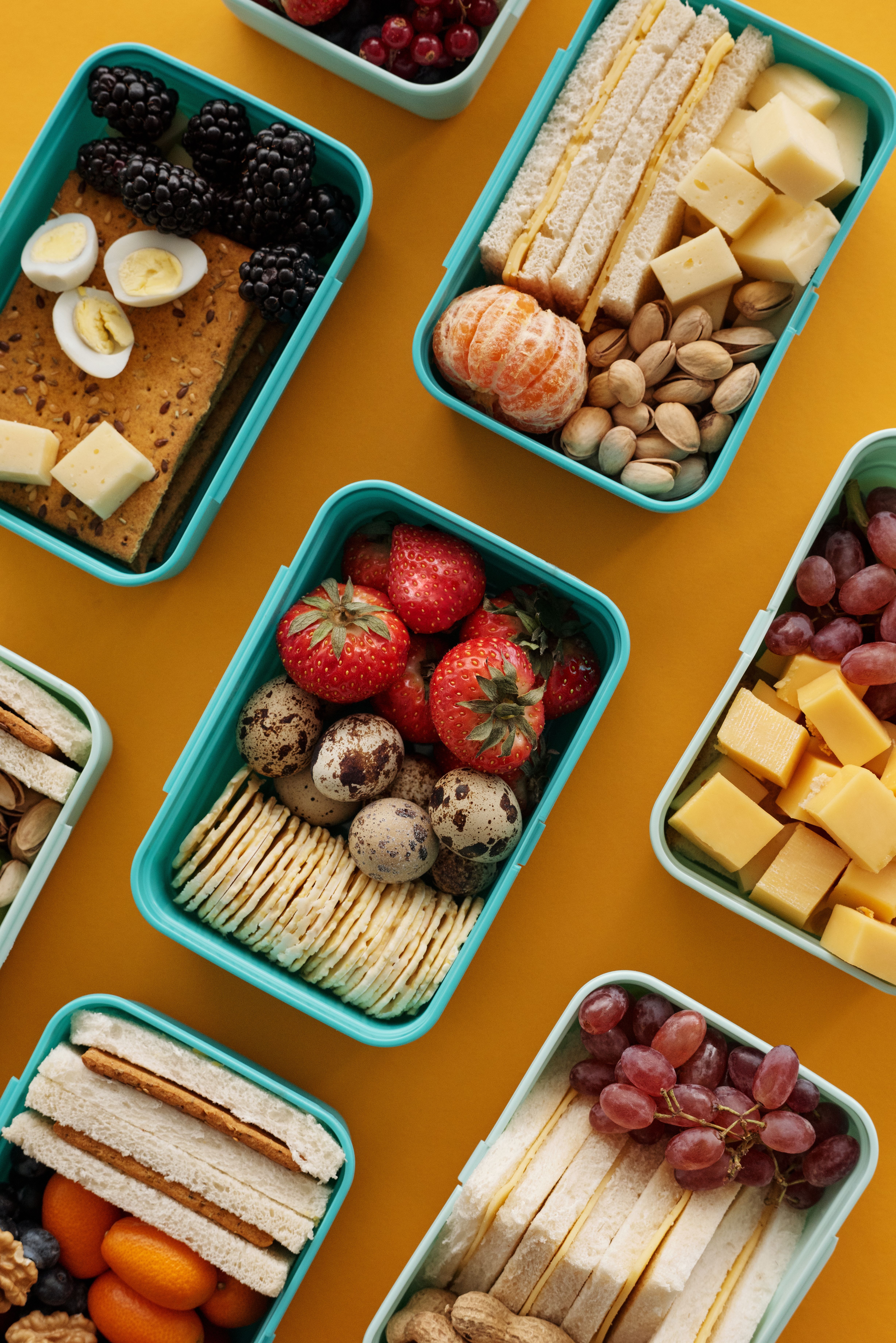 Lunch Box Market: Industry Analysis and Forecast