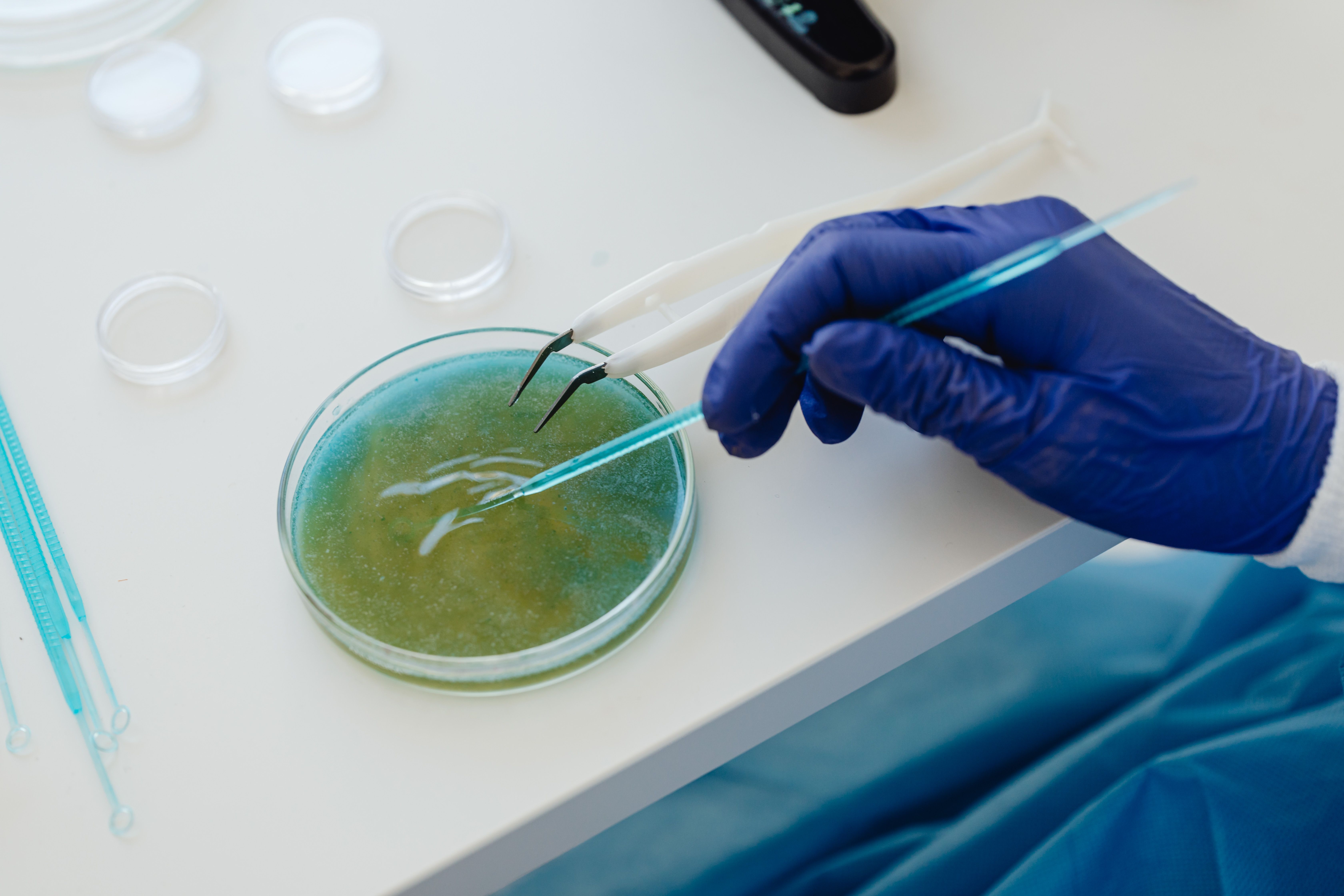 Global Medical Biomimetics Market: Trends, Growth & Future Opportunities