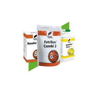 Micronutrient Fertilizers Market Size, Growth and Scope