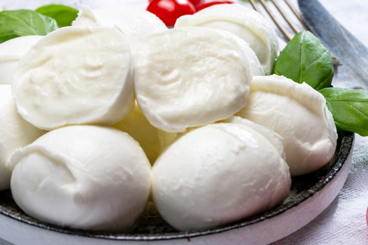 Global Mozzarella Cheese Market: Future Outlook and Industry Dynamics