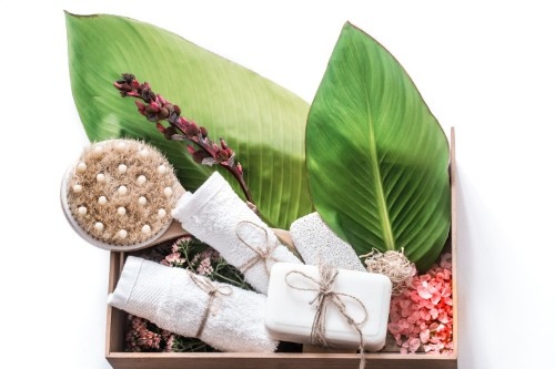 Japan Herbal Beauty Products Market Blending Tradition with Modern Skincare Innovation