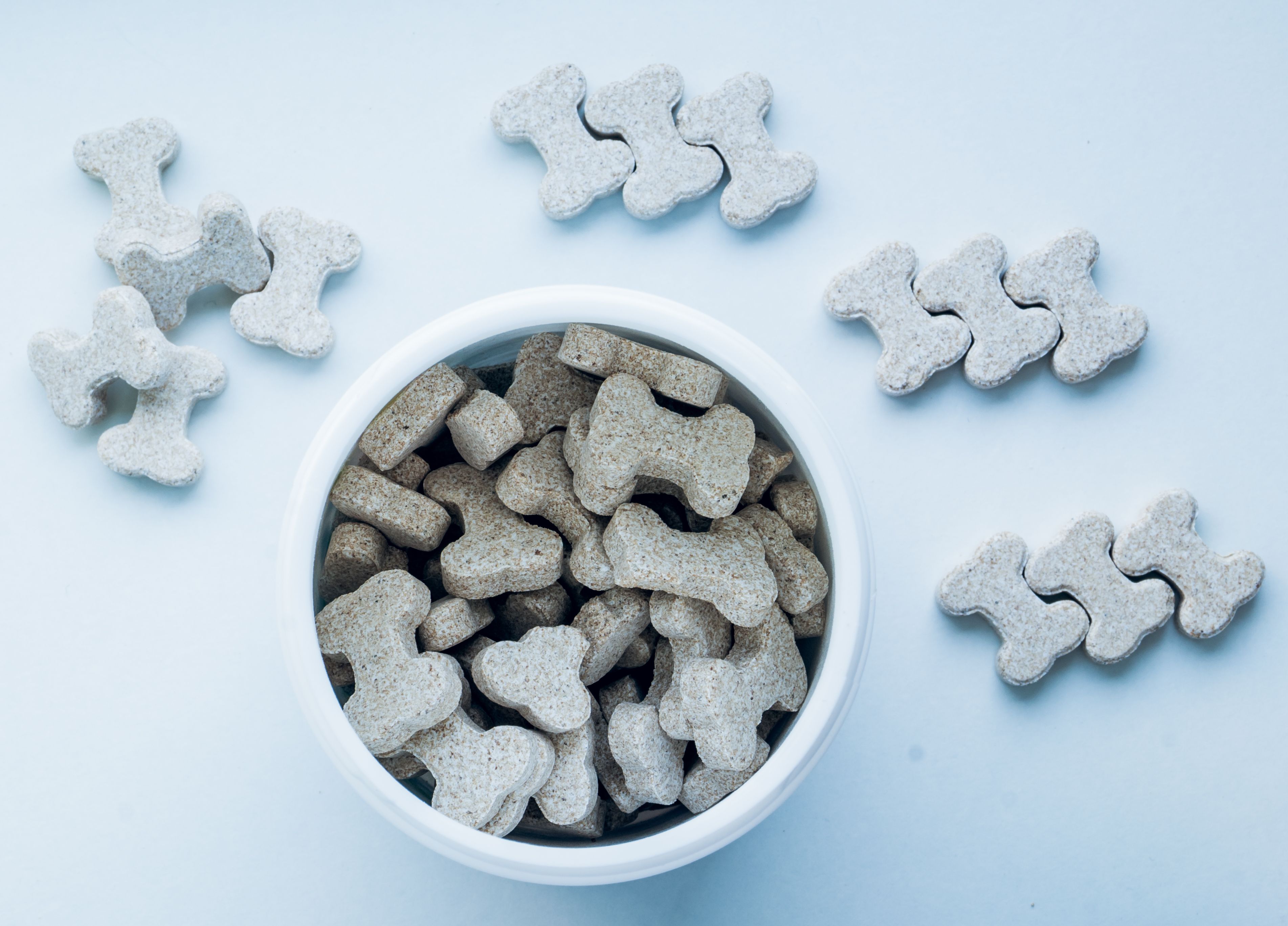 Global Pet Food Bowl Market : Industry Analysis and Forecast