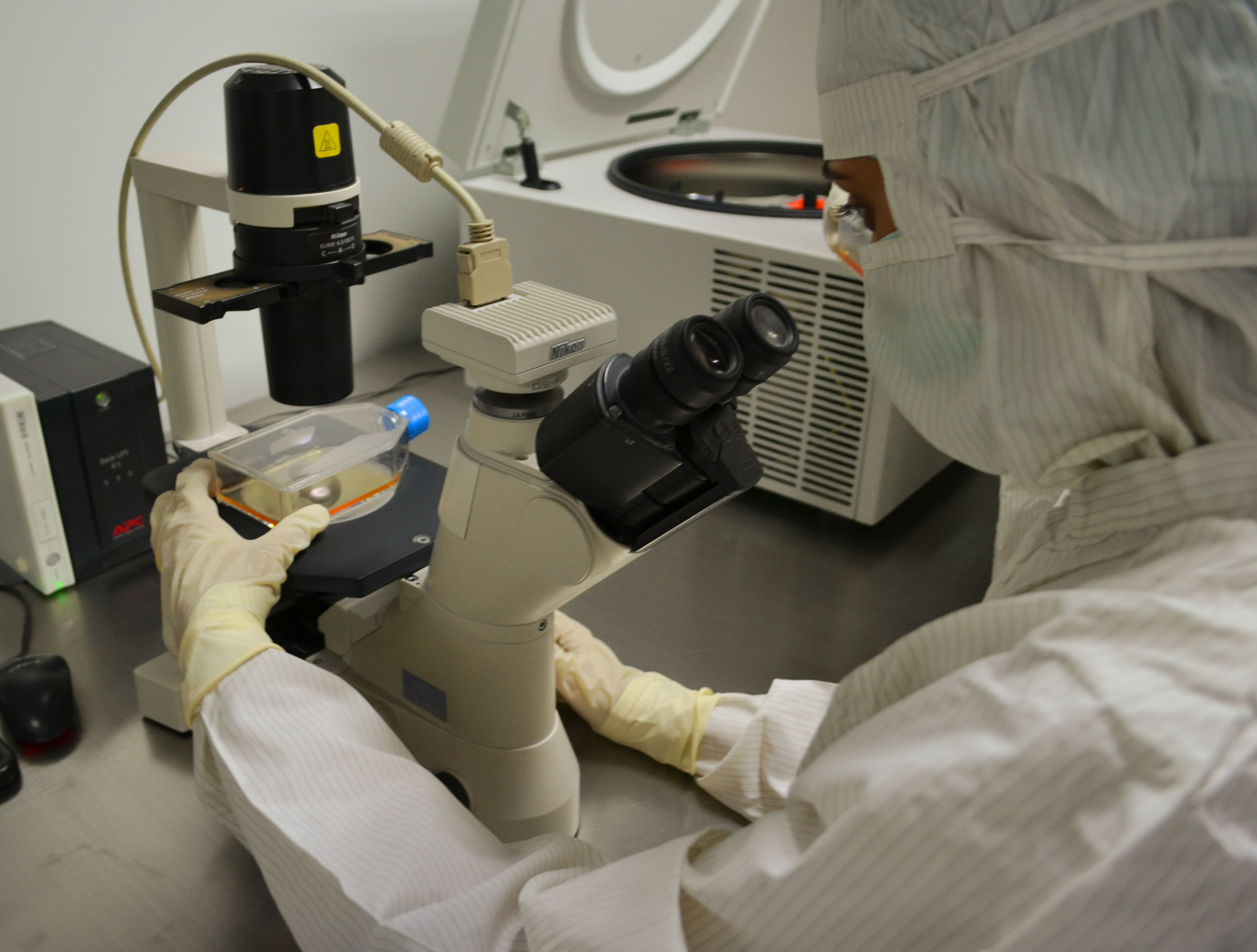 Global Humanized Antibody Market Report