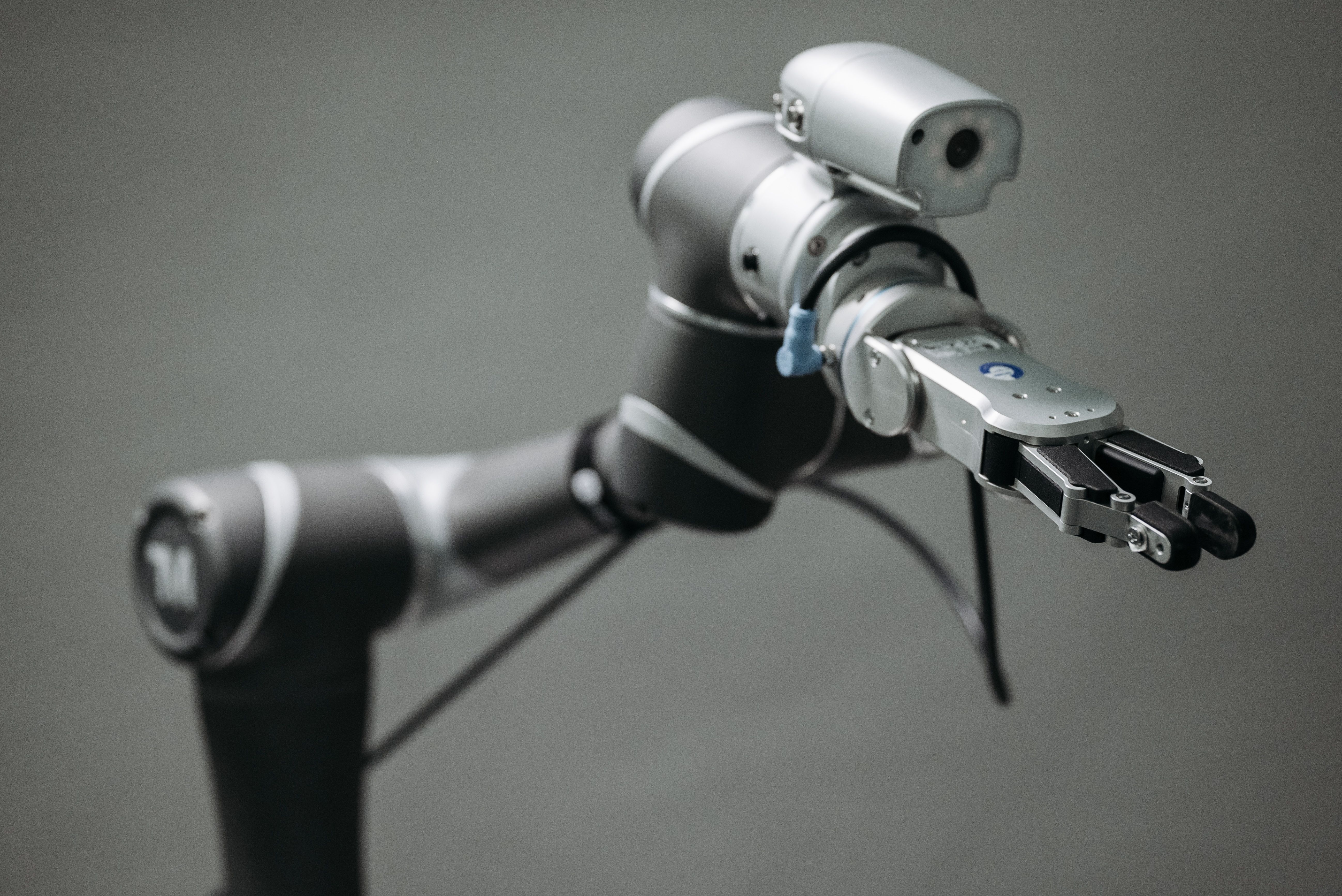Robotic Endoscopy Devices Market: The Future of Minimally Invasive Care