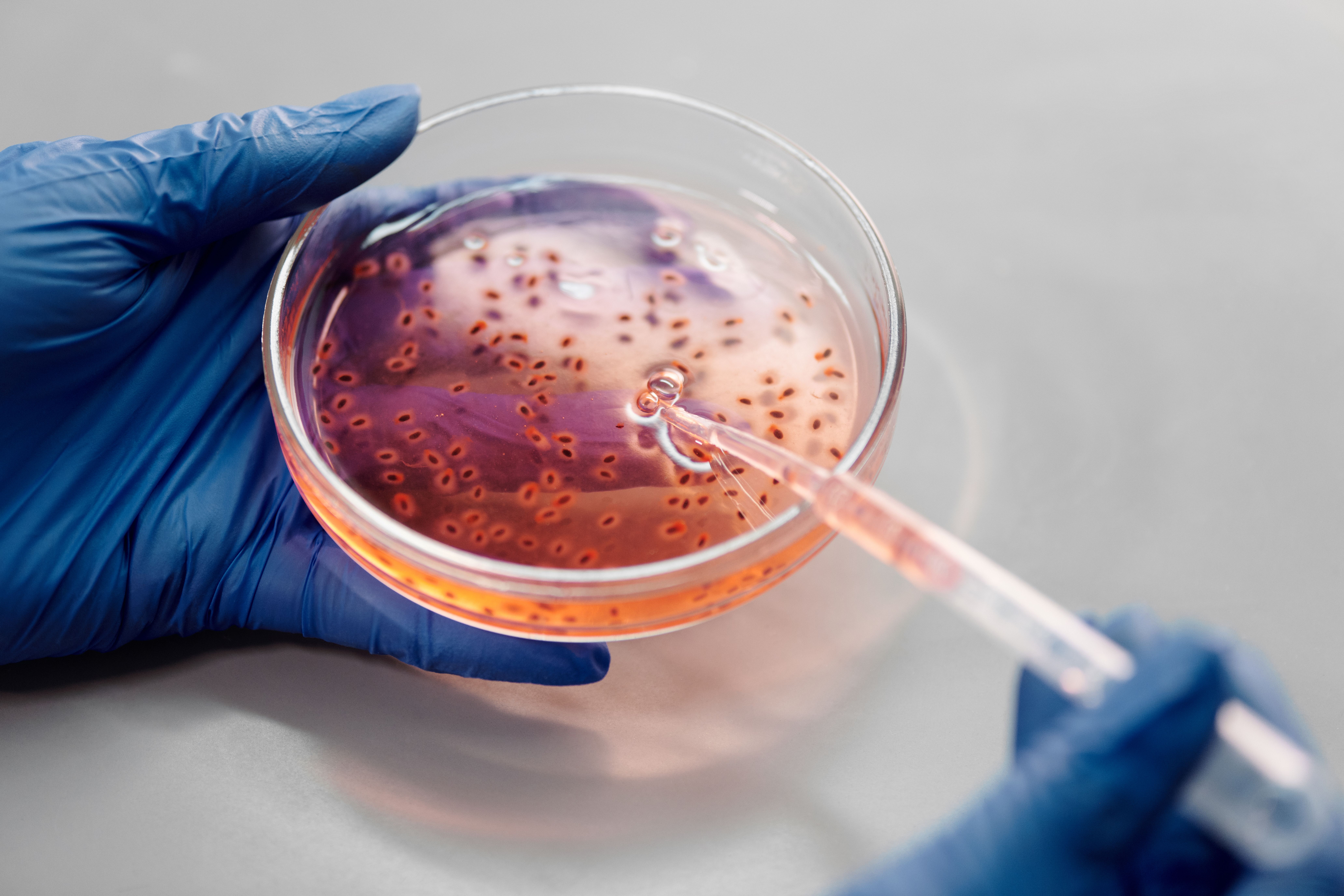 Tissue Engineering Market: Industry Analysis and Forecast