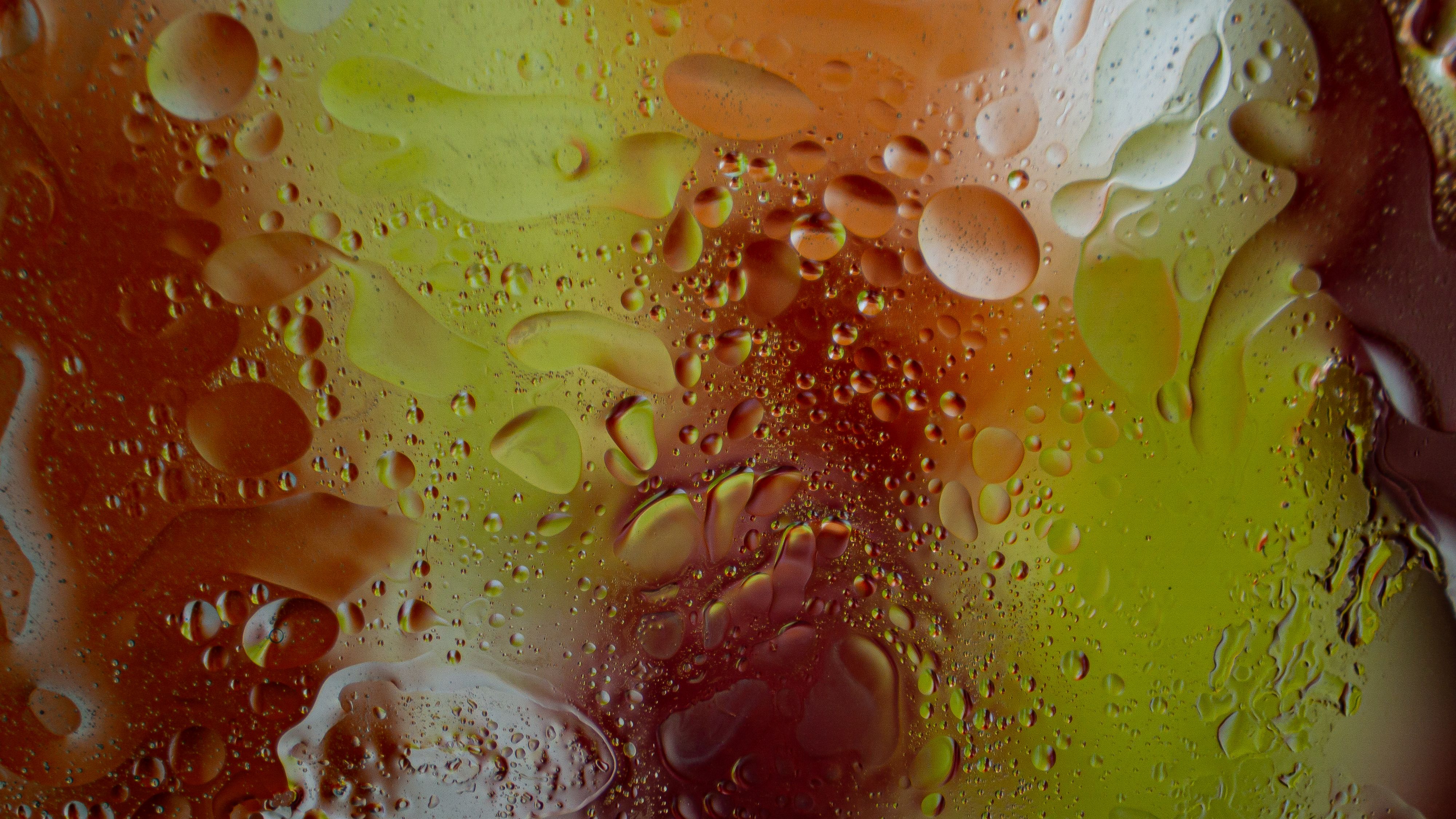 VAE Emulsion Market: Driving Innovation in High-Performance Adhesives and Coatings